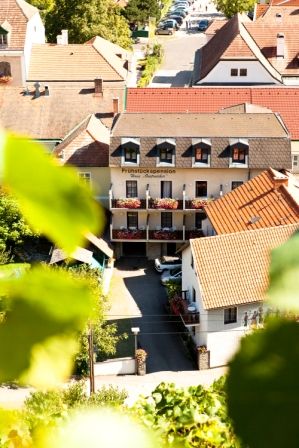 A "Haus Oestreicher" feliratú épület látképe, előtérben más házakkal és zöld levelekkel körülvéve.