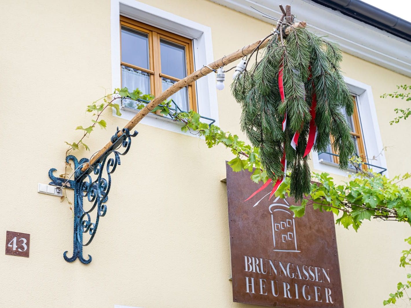 Borkóstoló, Weingut Herzog, Brunngasse, Bad Vöslau