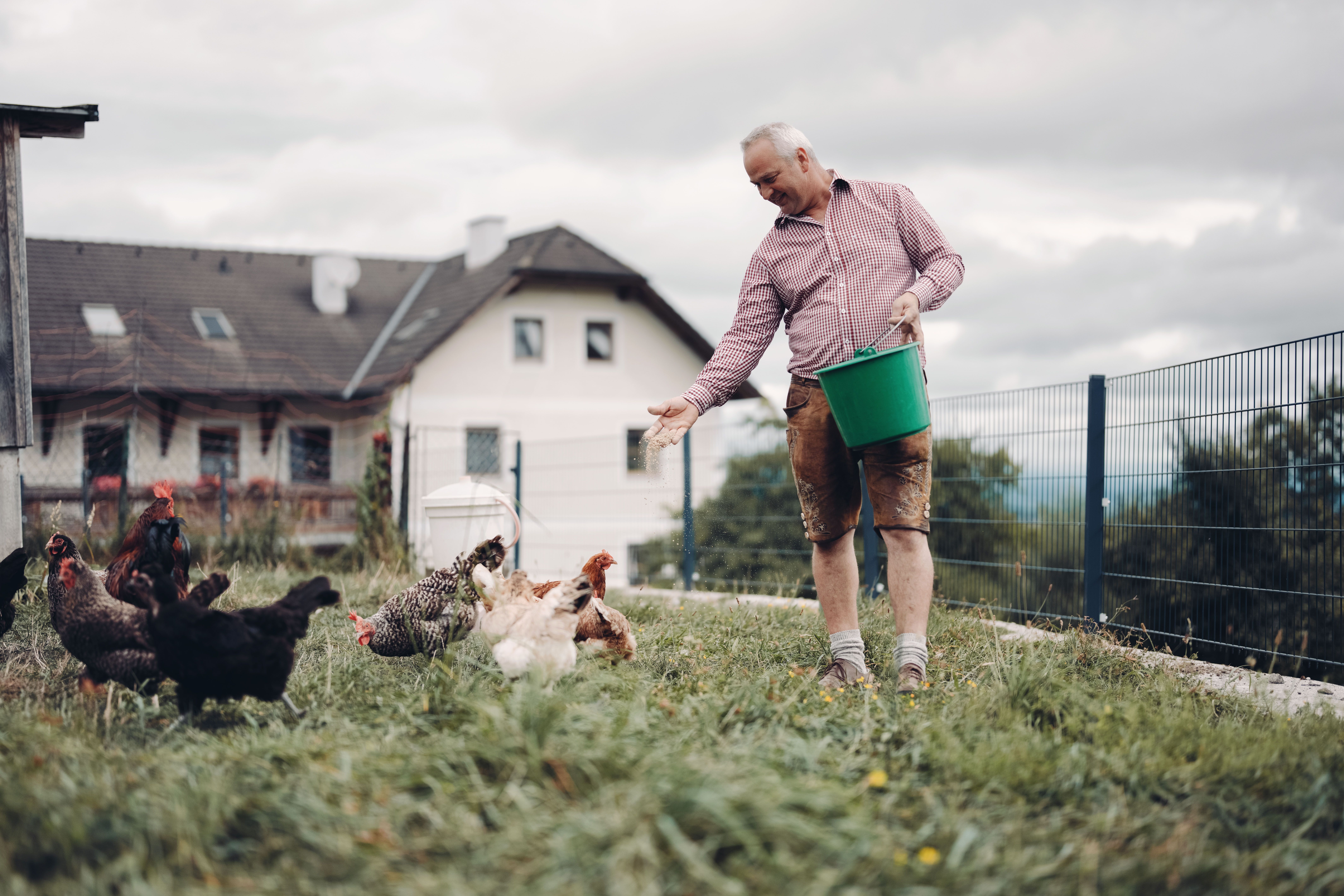 Gyümölcsleveket, ill. mustot is forgalmazó vendéglő Hörlesberg-hegyen