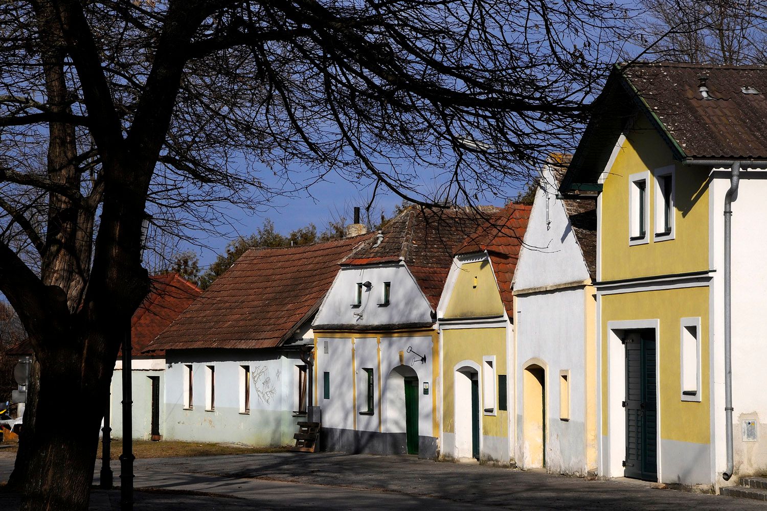 Hagyományos borospincék sora az ausztriai Nappersdorfban, színes homlokzatokkal és fákkal az előtérben.