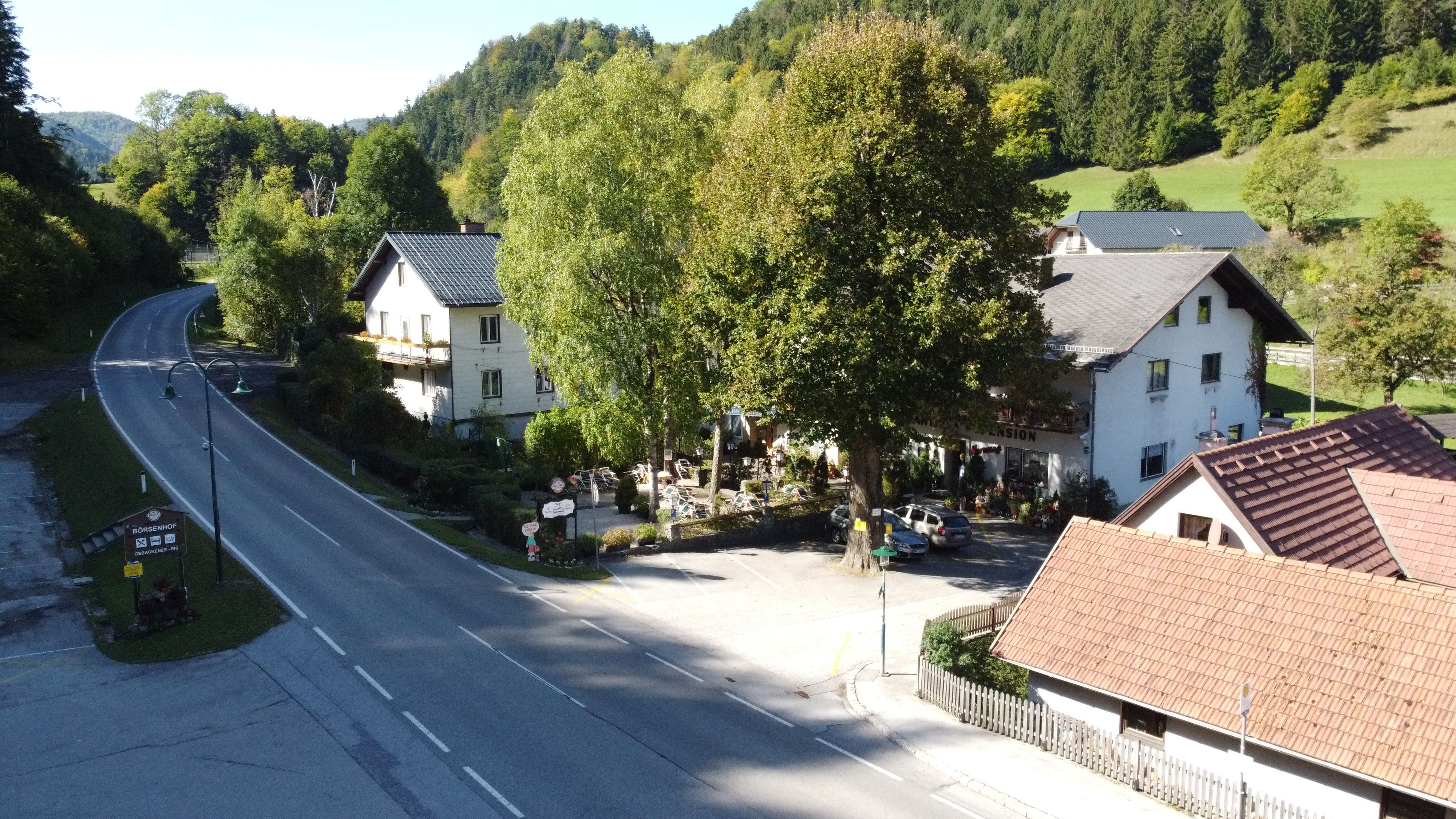 Vidéki utca házakkal és fákkal zöld környezetben.