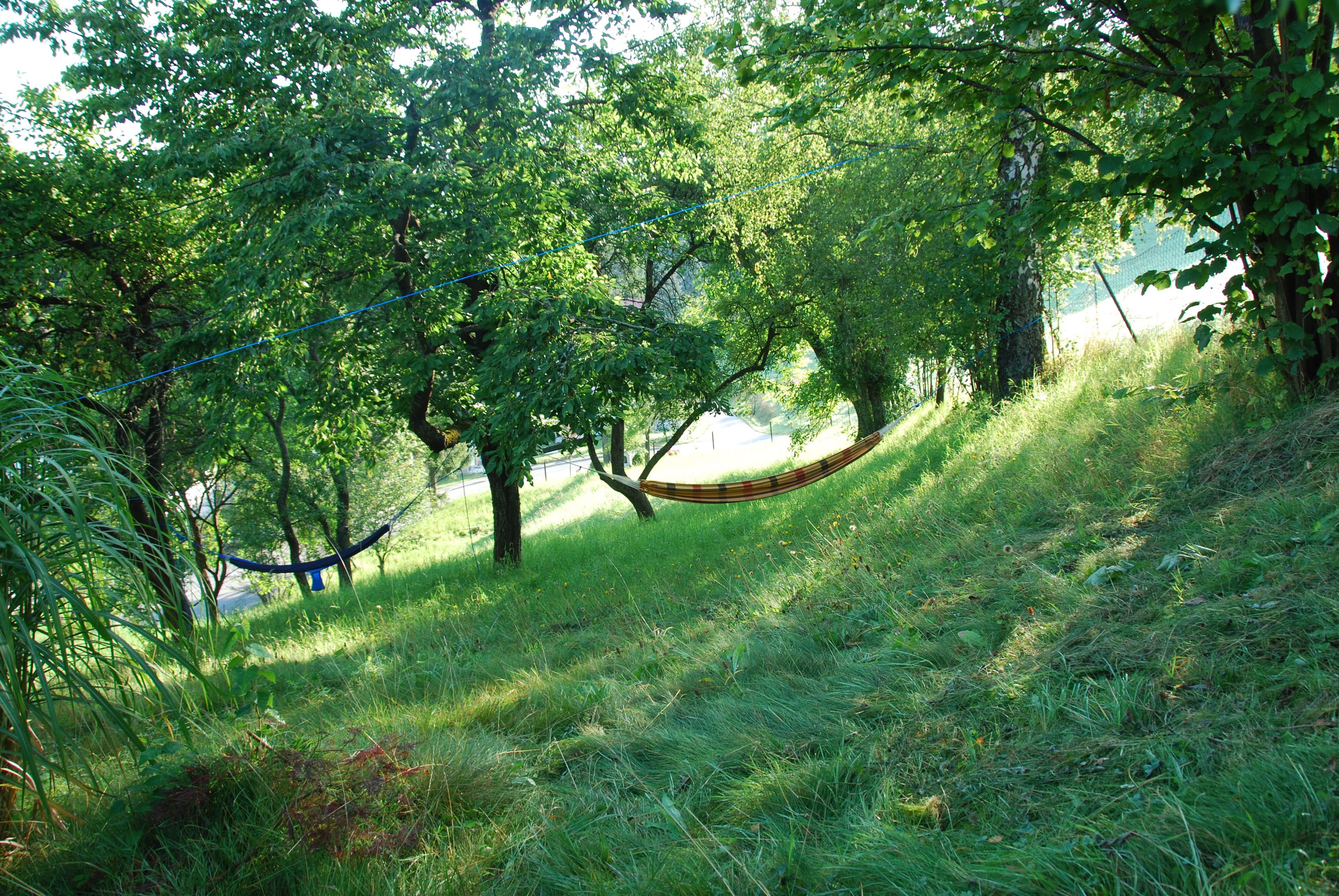 Kilátás a kertbe 