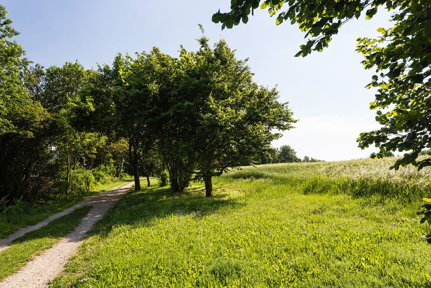 Panoráma útvonal Krembserberg
