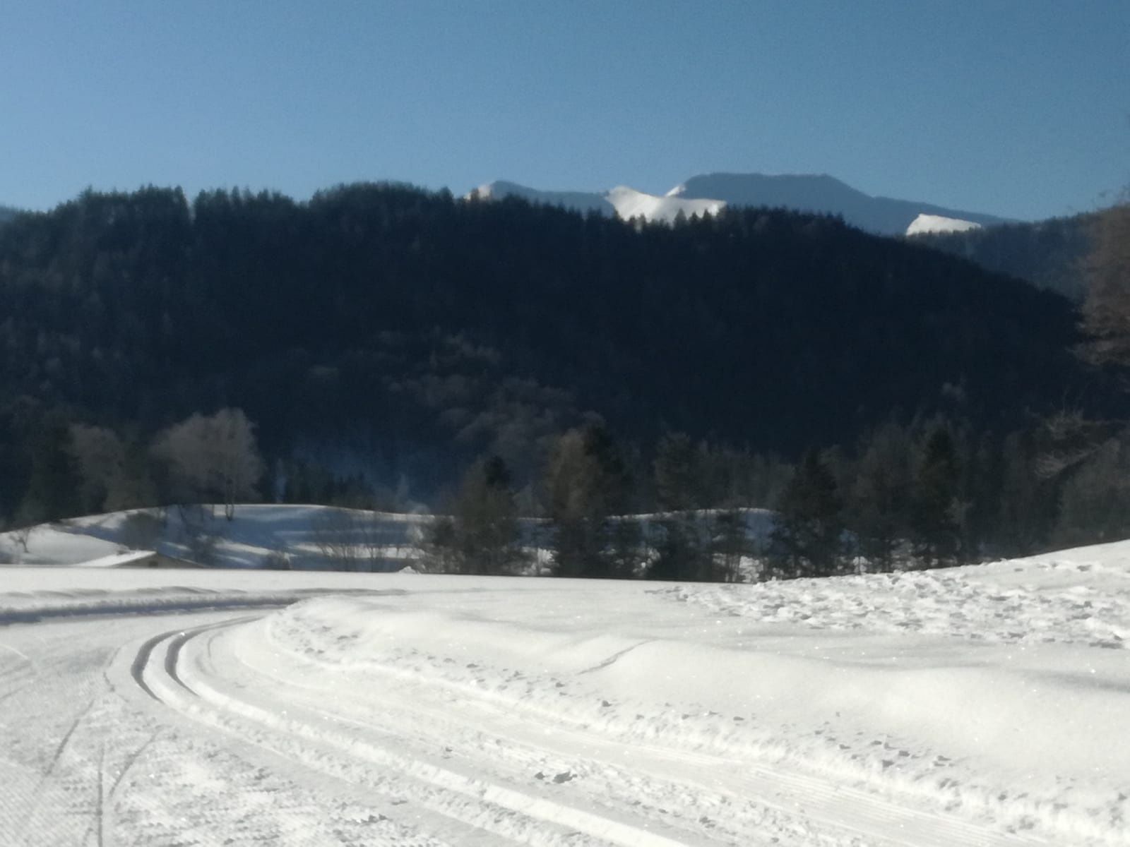 PANORMALOIPEN - 2/2 sífutópálya