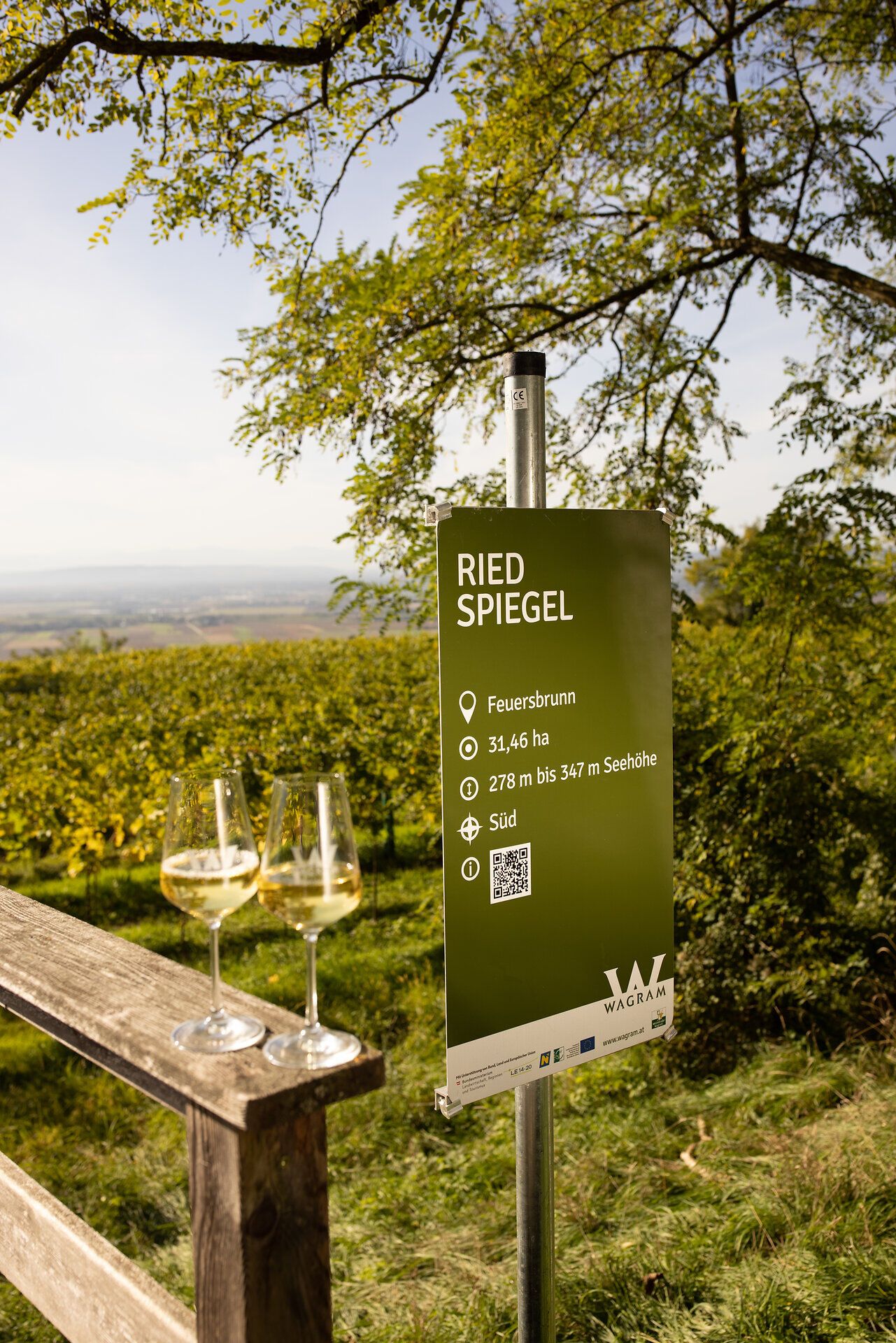 A dombok között a szőlőtőkék a tavasz meleg fényében virágba borulnak. Két pohár aranyszínű borral ünnepelhetjük a vidék finomságait. A kiterjedt szőlőültetvények látványa felejthetetlen pillanatokat ígér.