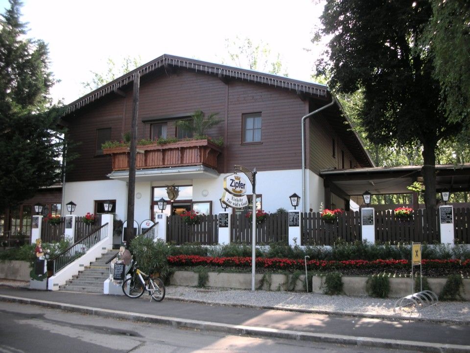 a Wüdn Goaßhoz