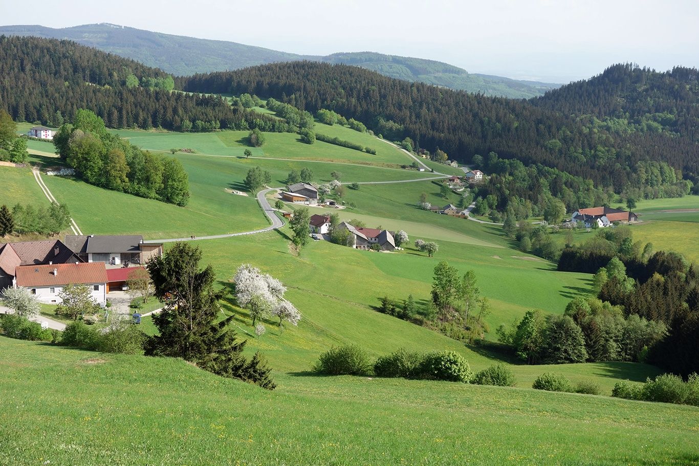 Herzstein út