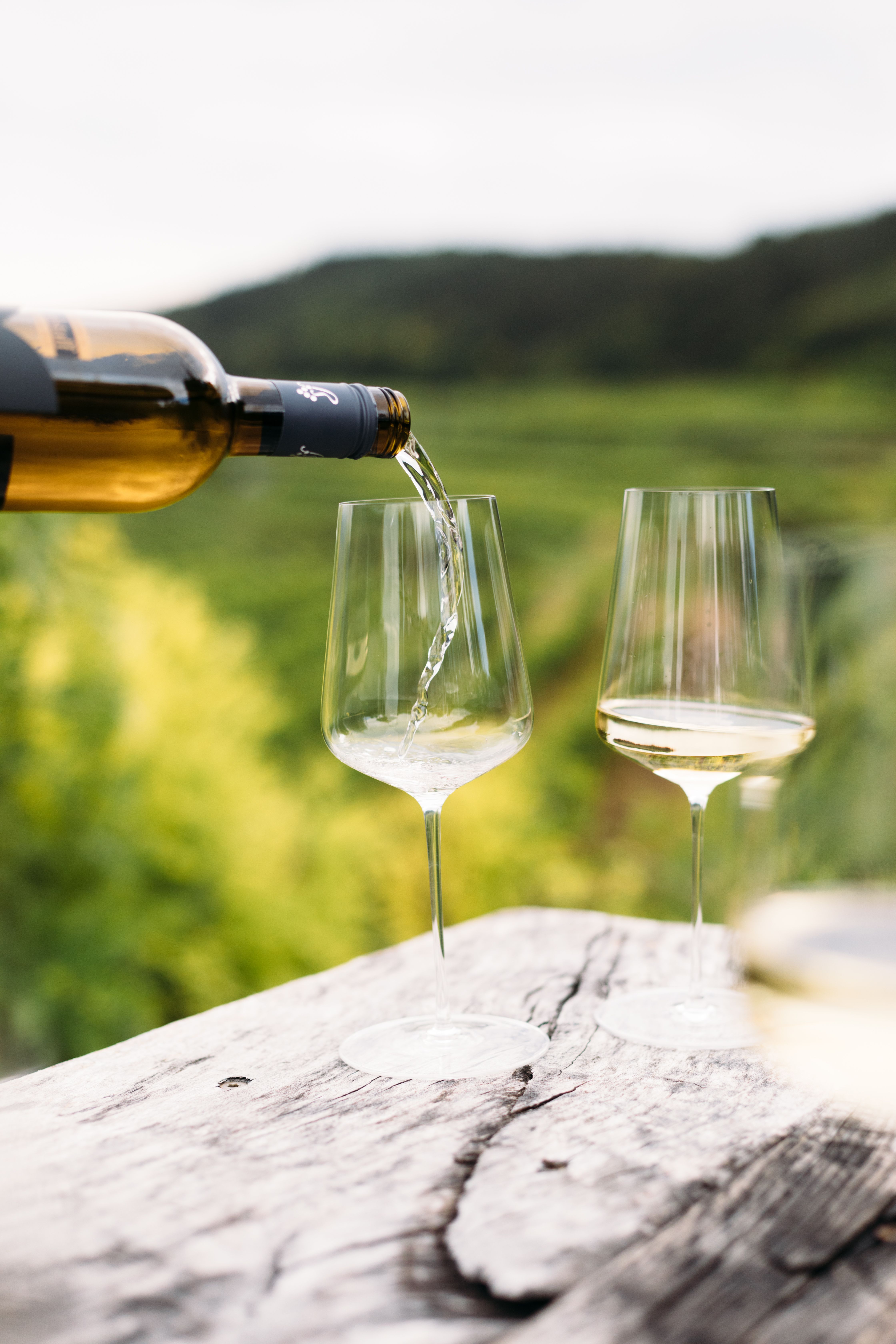 Inmitten der sanften Hügel des Traisentals fließt der edle Wein in die Gläser und verspricht genussvolle Momente. Die üppigen Weinreben umarmen die Landschaft und laden dazu ein, die Schönheit der Natur zu erleben. Ein perfekter Ort, um die Seele baumeln zu lassen und die Aromen des Weins zu genießen.