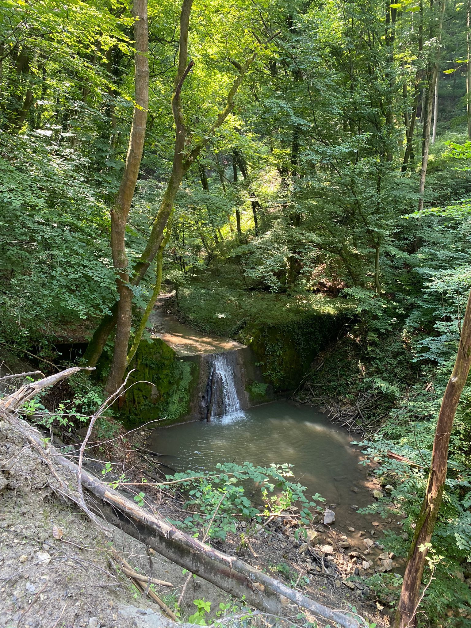 TDR Hagenbach-szurdok