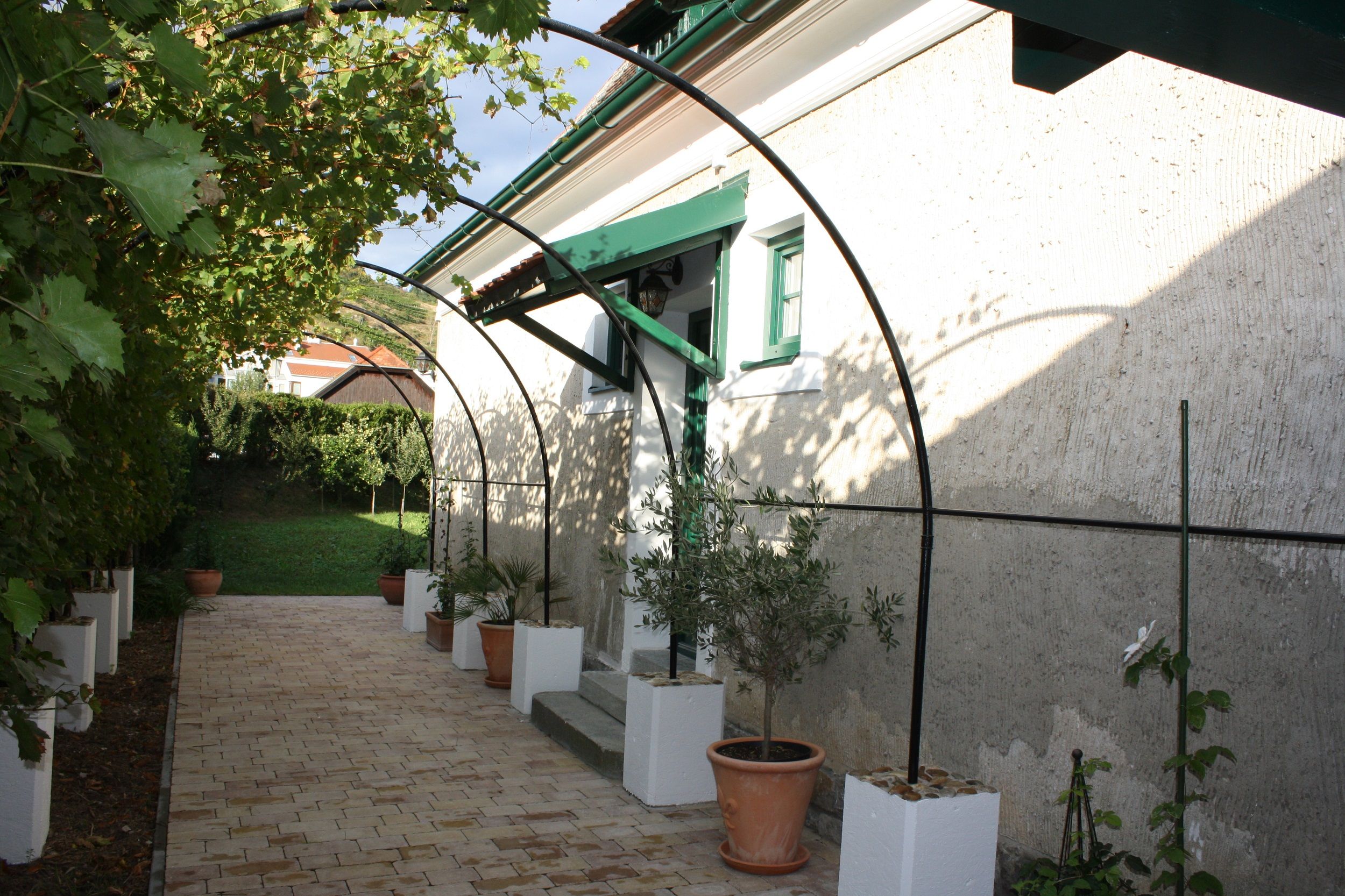 Pavilon szőlővel és cserepes növényekkel a Schmidl biopincészetnél.