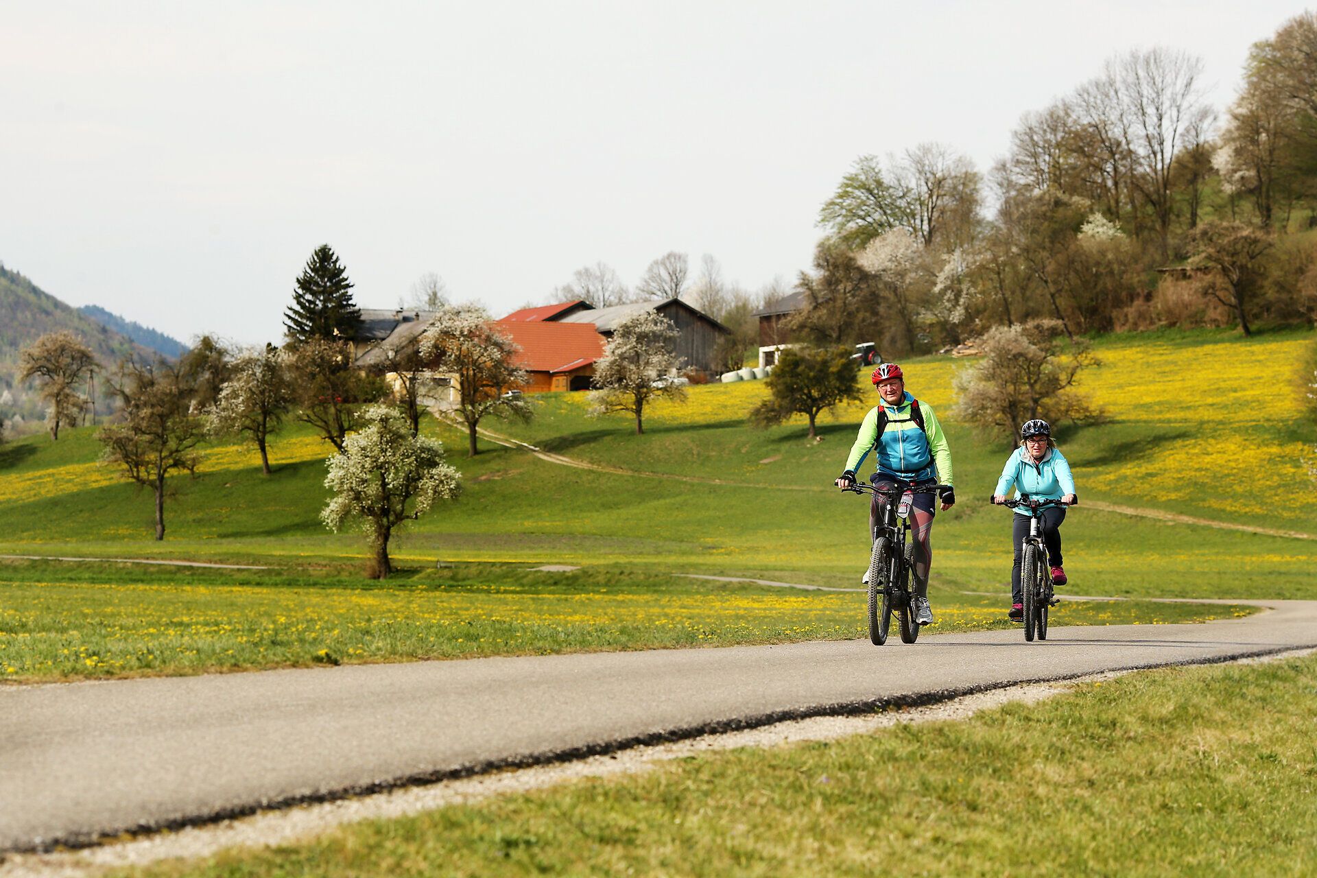 Zwei Radfahrer fahren auf einem geschwungenen Weg durch blühende Wiesen und sanfte Hügel. Die Natur des Dirndltals bildet eine idyllische Kulisse für sportliche Aktivitäten.