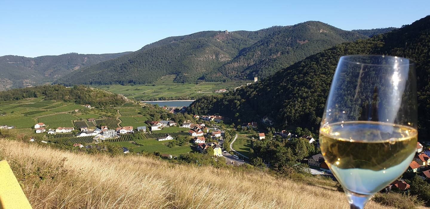 Panoráma borospohárral az előtérben, kilátás egy völgyre, falvakkal és szőlőskertekkel, erdős dombokkal körülvéve.