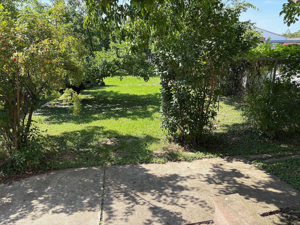 Kert fákkal és bokrokkal, napsütéses napon.