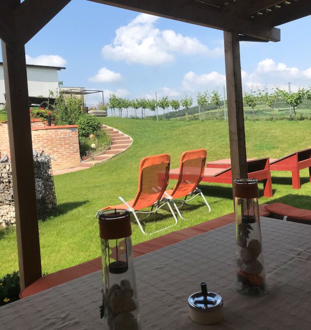 Kilátás a teraszról a kertre, a háttérben nyugágyakkal és szőlővel.