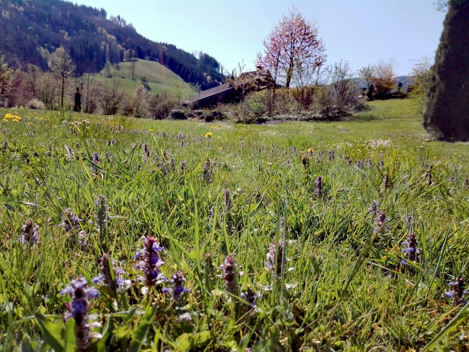 Nyaralók Kogelsbach