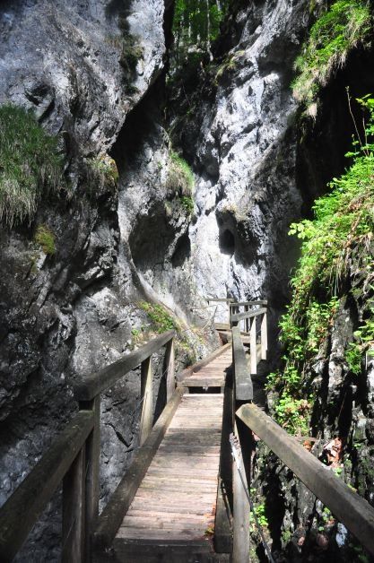 Falcon Gorge túra