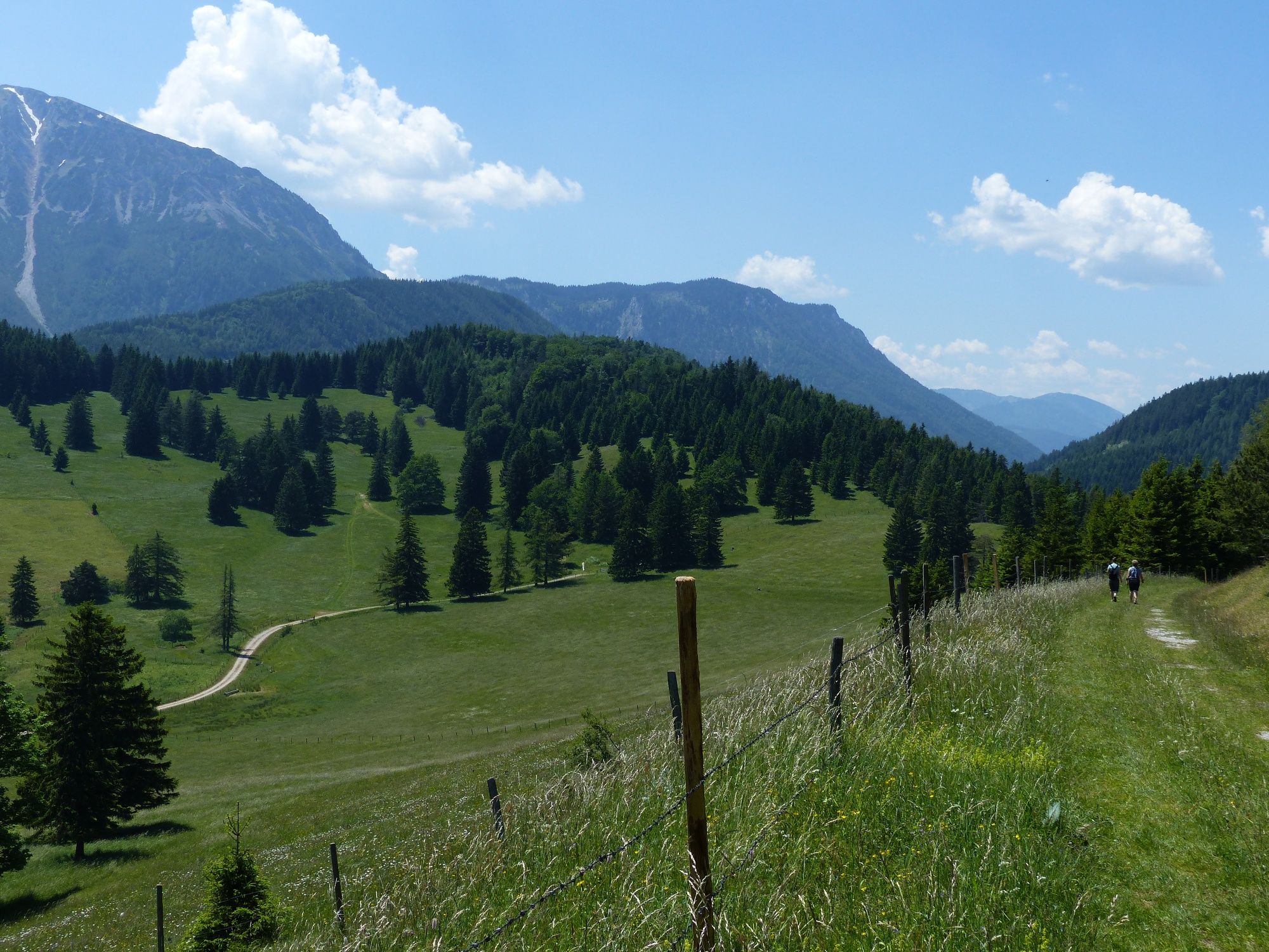 A Mamauwiese-en a Schoberalm irányában