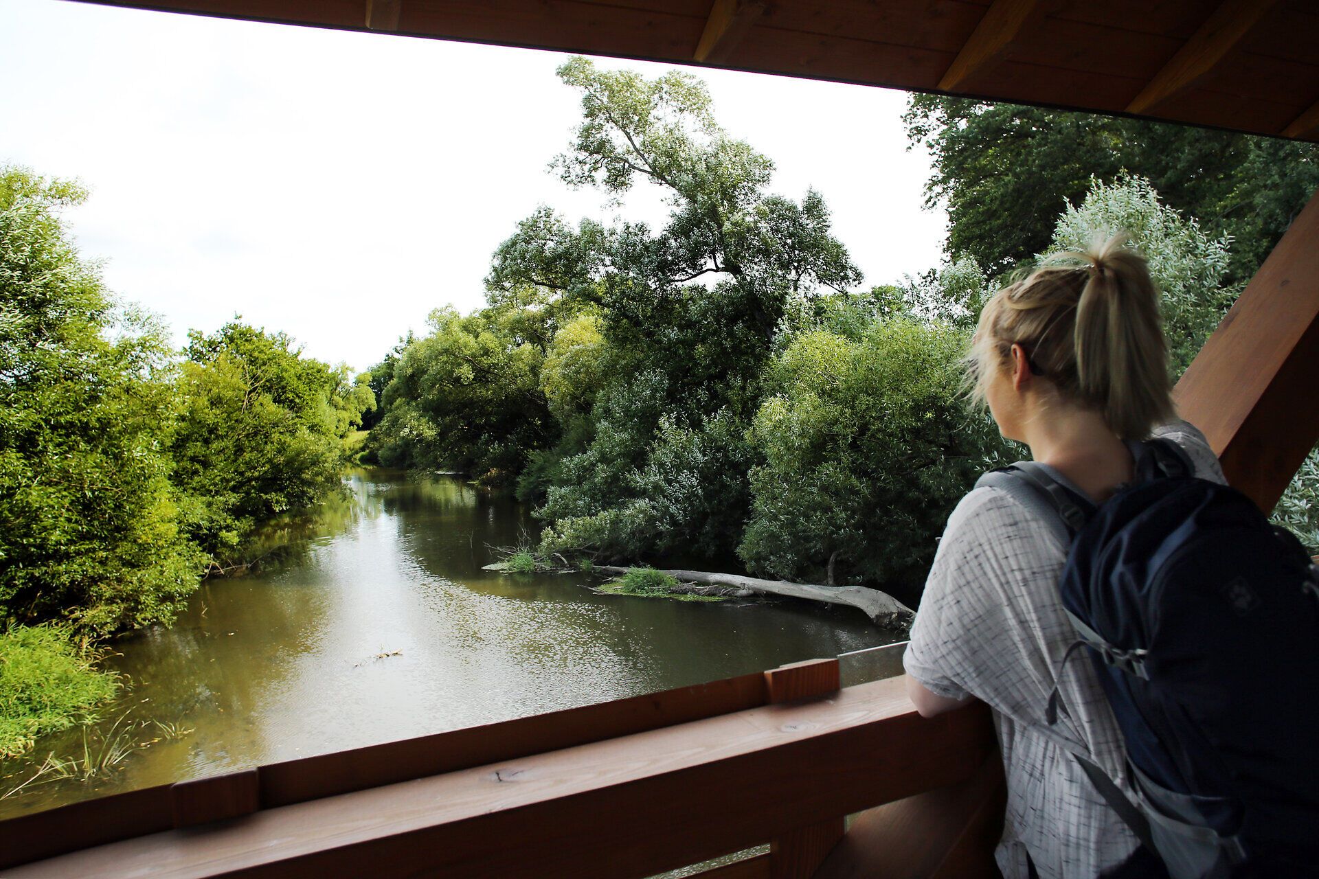 Egy csendes pillanat egy lágyan folyó víz partján, buja zöldellő és méltóságteljes fákkal körülvéve. A békés légkör arra invitál, hogy élvezze a természetet a maga teljes pompájában, és hagyja maga mögött a mindennapi életet.