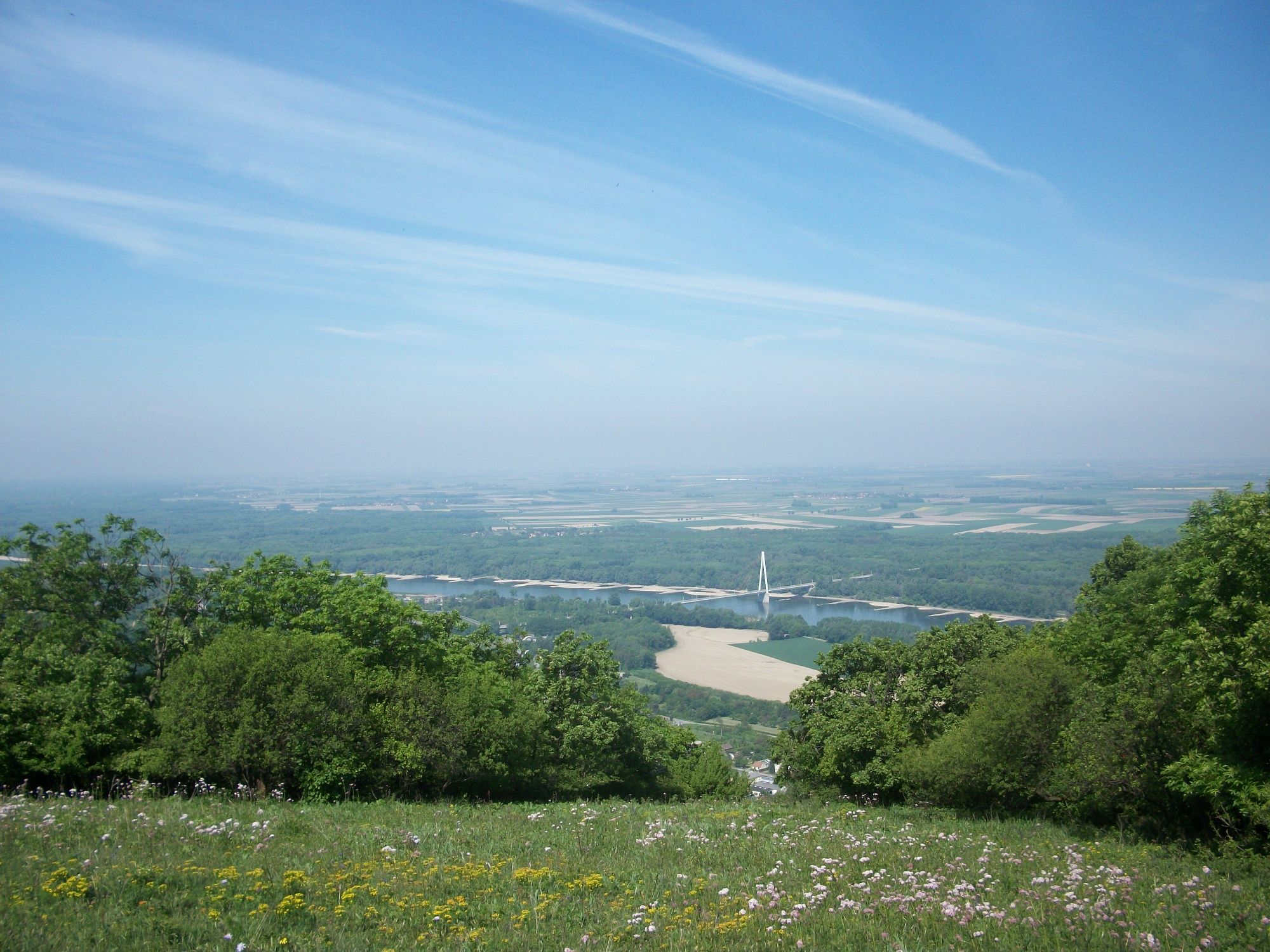 A  megtekintése