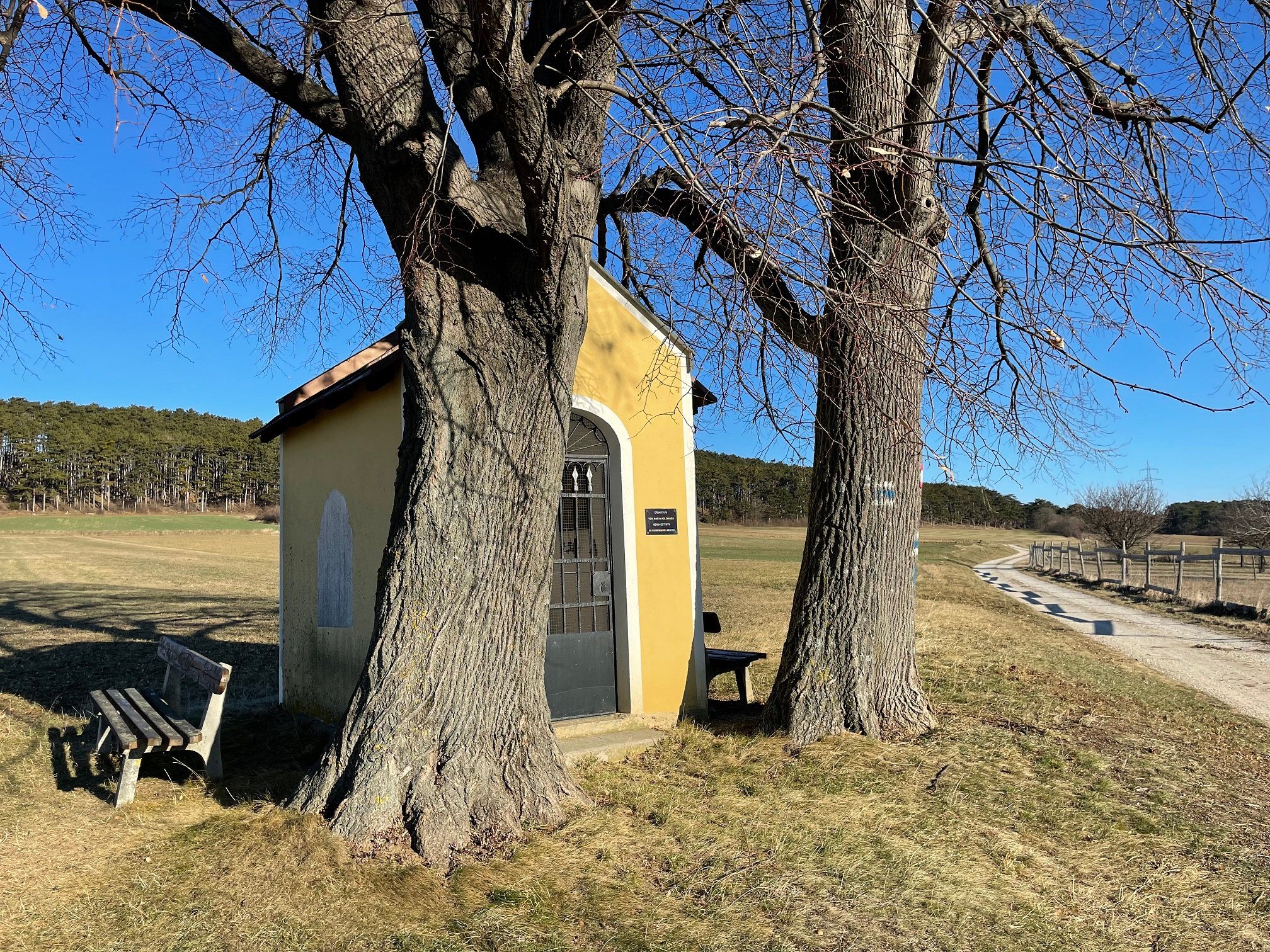 Kis sárga kápolna két fa között egy országúton.