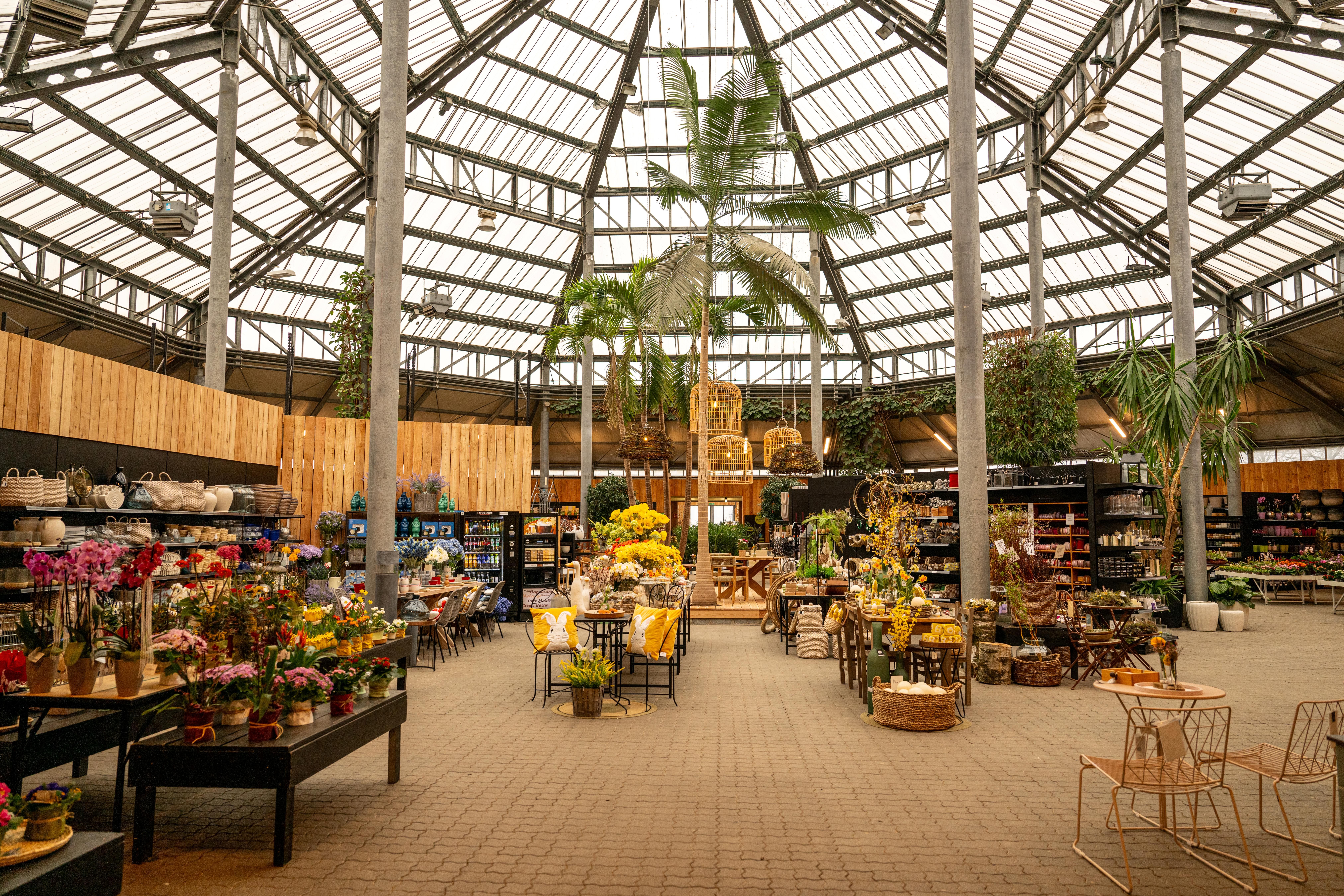 Palmenhaus (C) STARKL, diemosttirolerin-16.