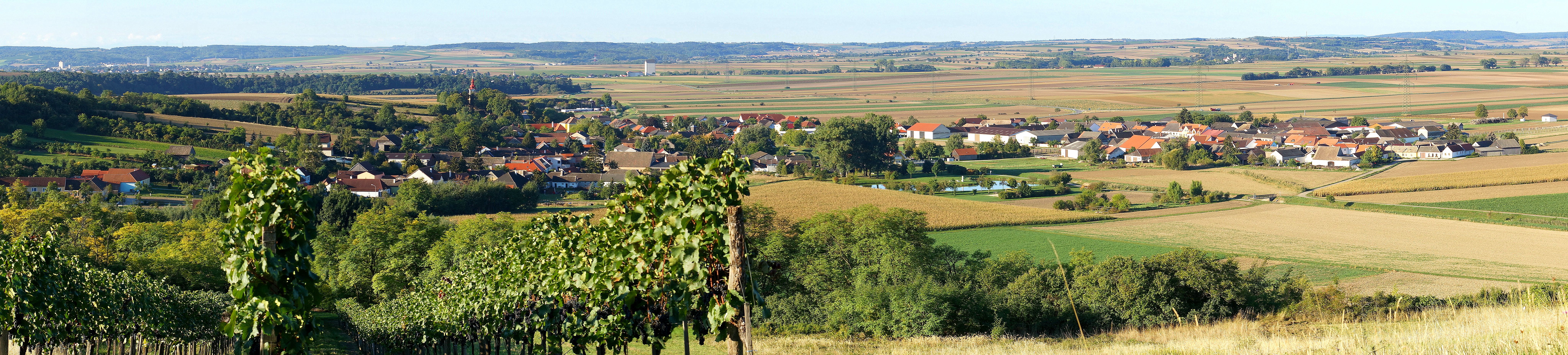 Panoráma egy faluról, előtérben mezőkkel és szőlőültetvényekkel.