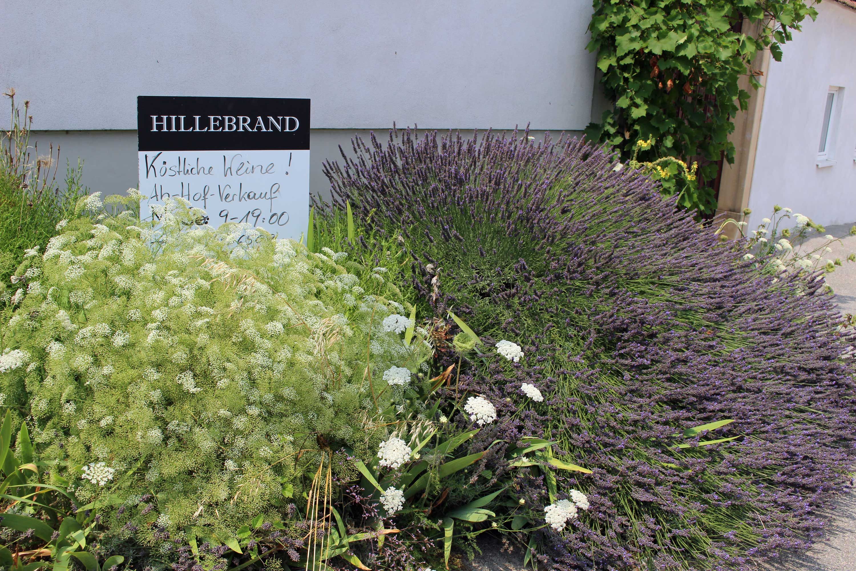 Hillebrand Pincészet, Petronell-Carnuntum
