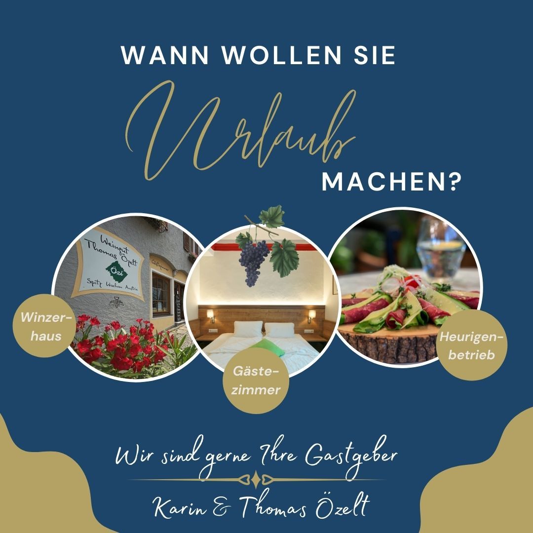 Hirdetés a Wachauban való nyaraláshoz, a borászház, a vendégszobák és a borozó képeivel.