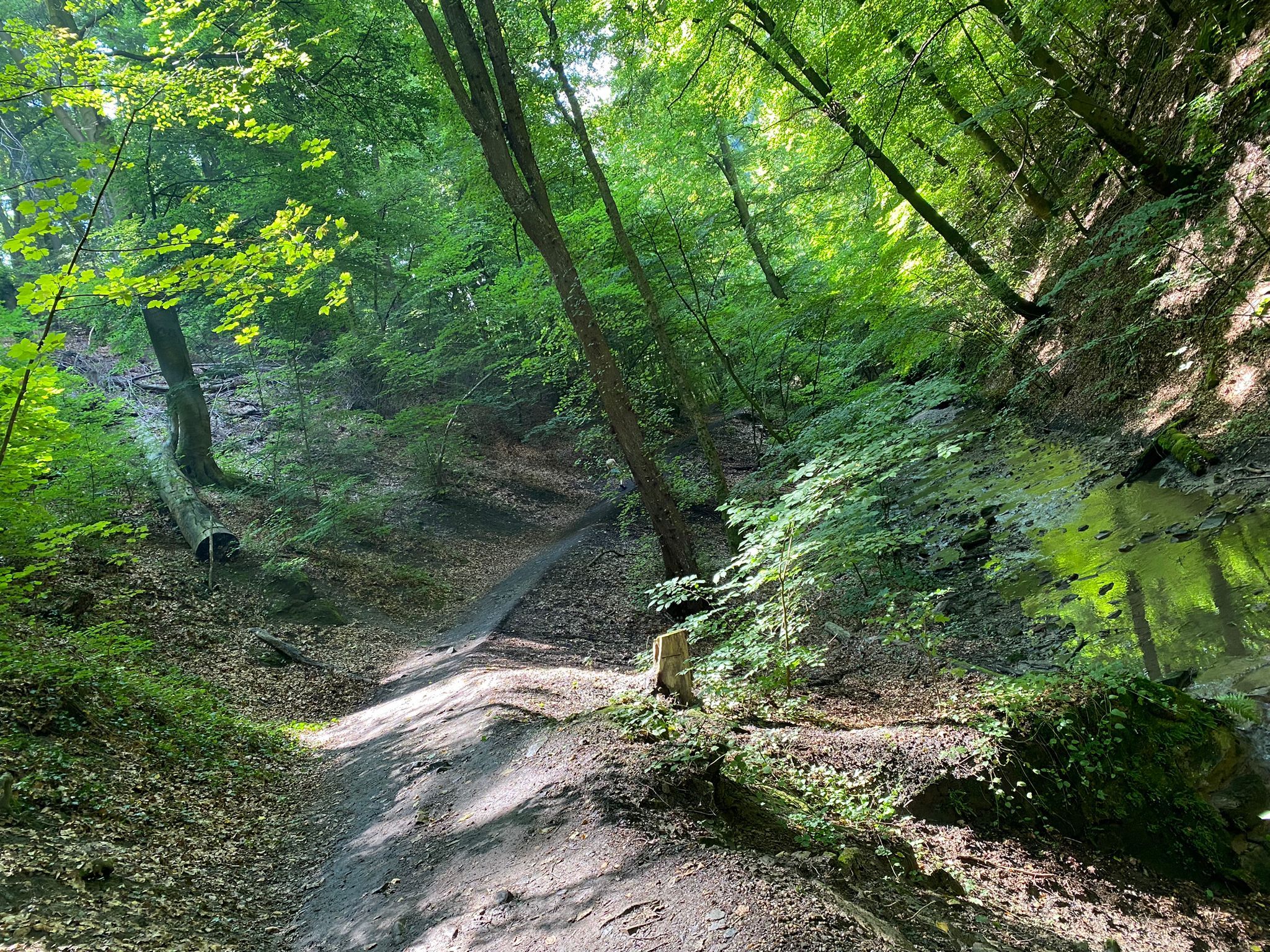 TDR Hagenbach-szurdok