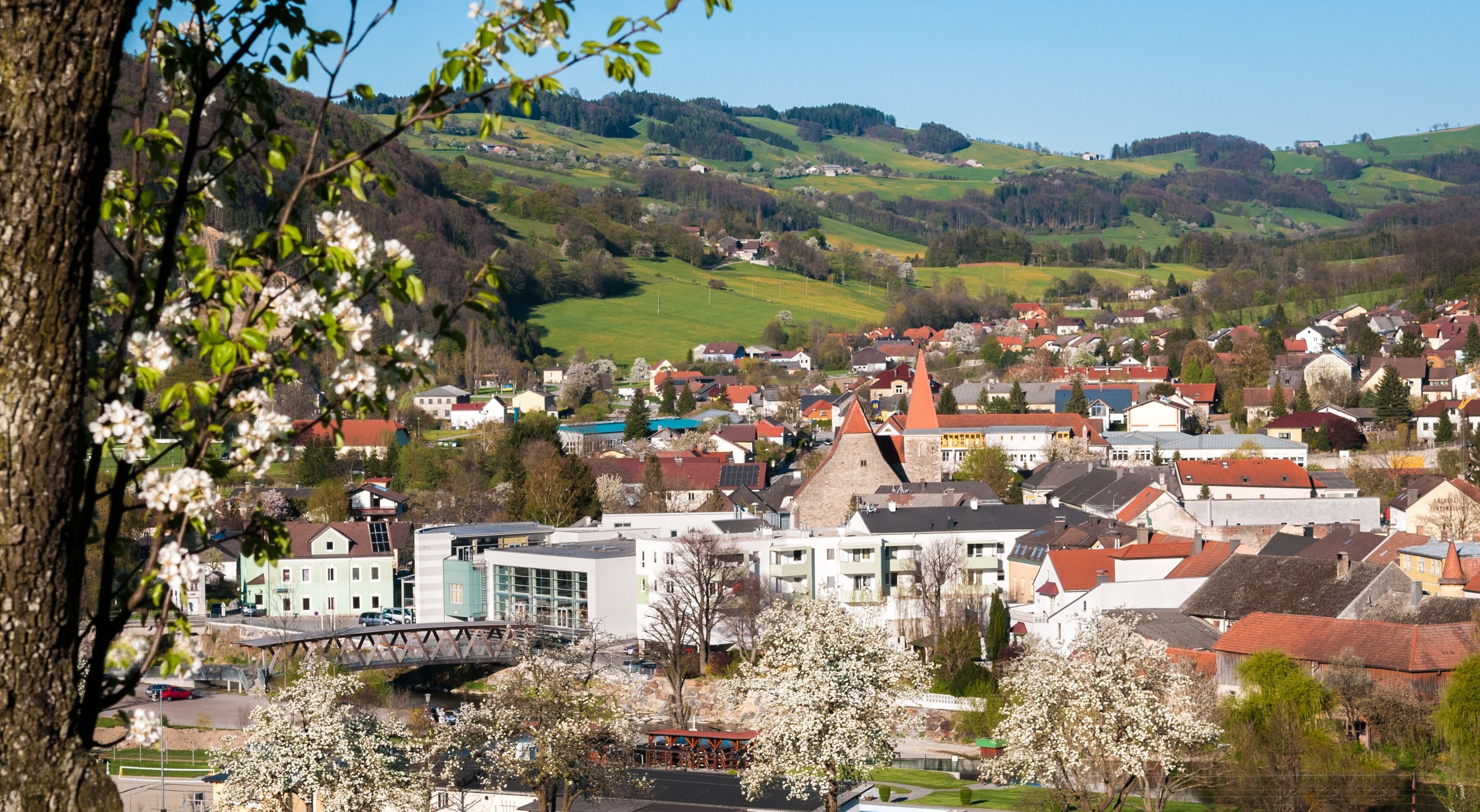 Rabenstein panorámája virágzó fákkal az előtérben és hegyekkel a háttérben.