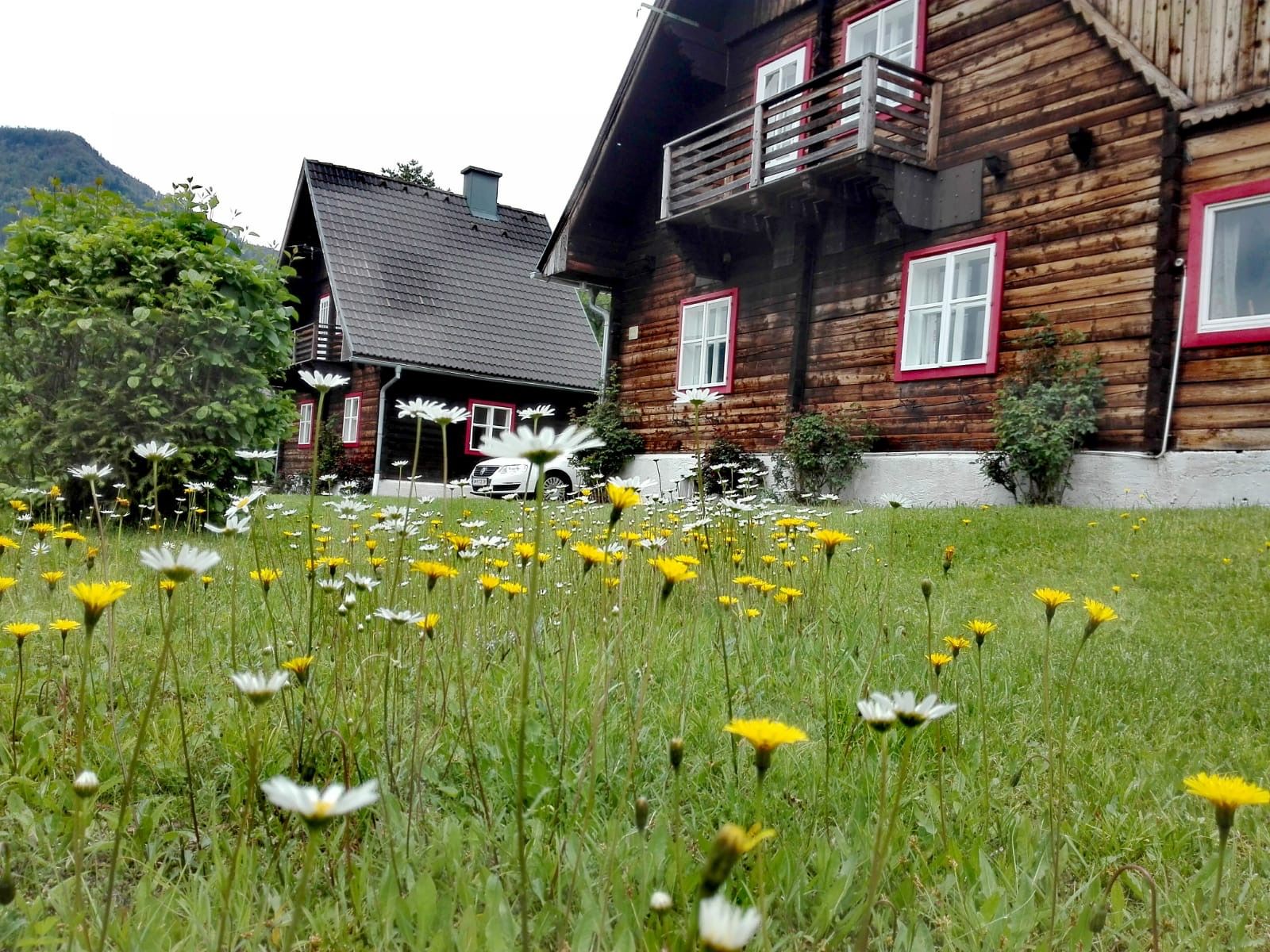Nyaralók Kogelsbach