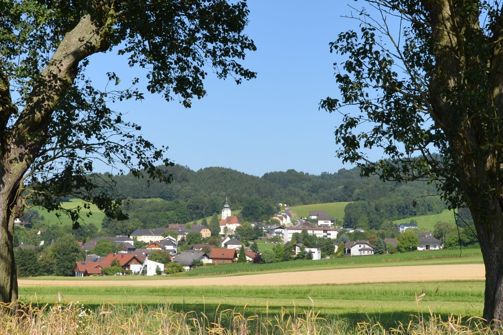 Tájkép, a háttérben fák által keretezett falu és templom.