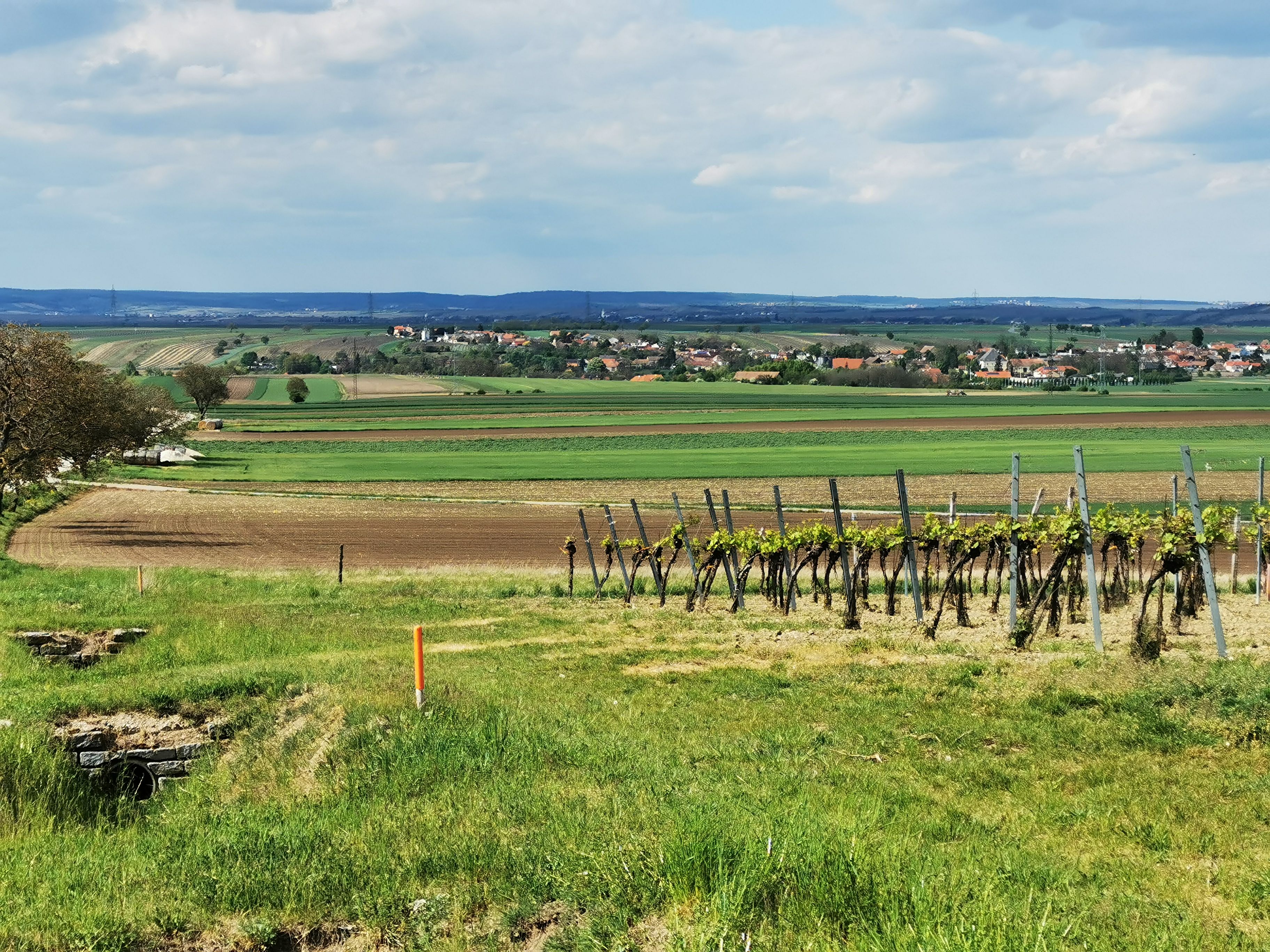 Kilátás a szőlőültetvényekkel tarkított zöld rétekre. A horizonton egy falu is felismerhető.