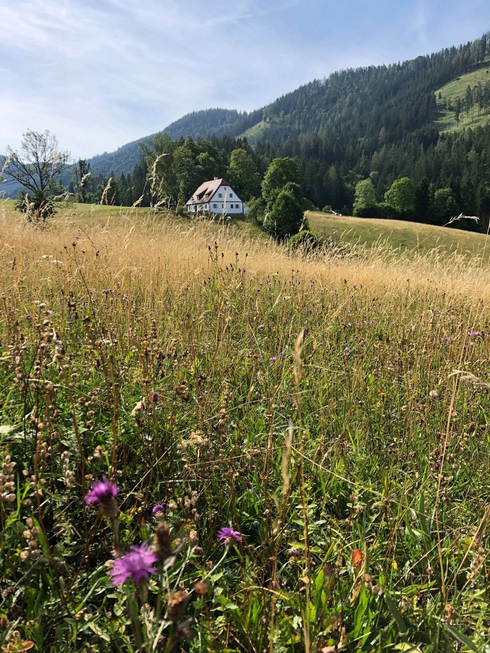 Nyaraló Hinterbreiteneben