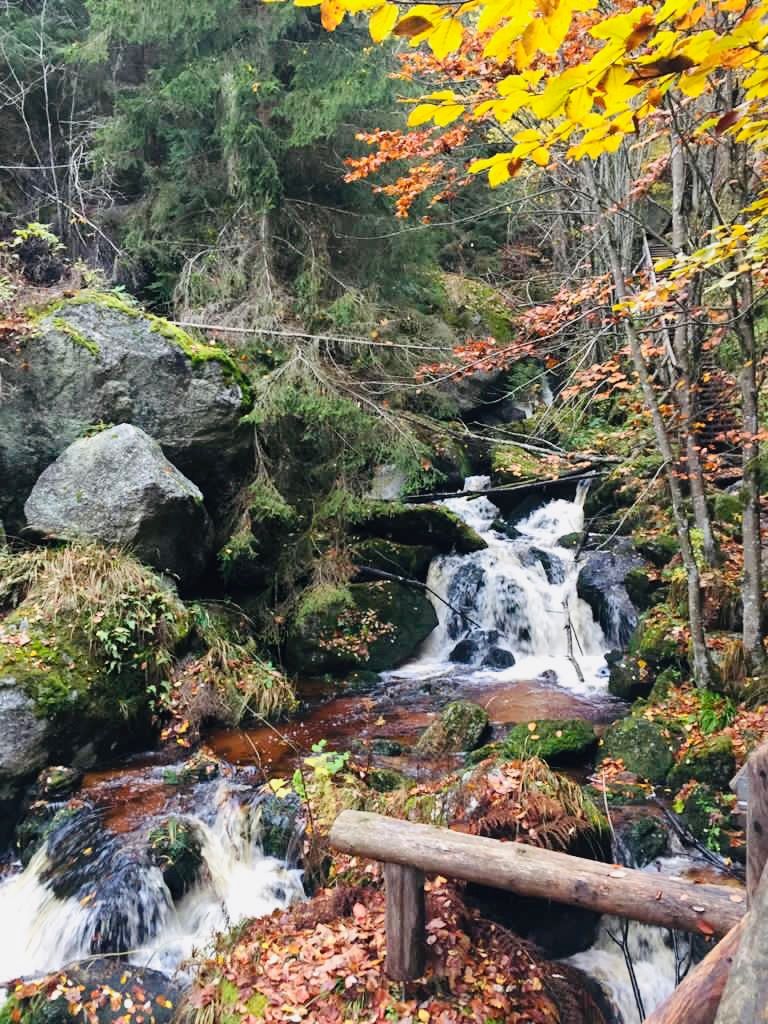Helló. A nyaraló lakás.