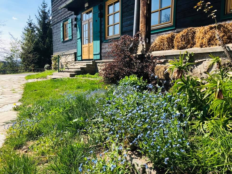 Egy ház zöld redőnyökkel és fából készült verandával, virágzó nefelejcsekkel és zöld növényzettel körülvéve.