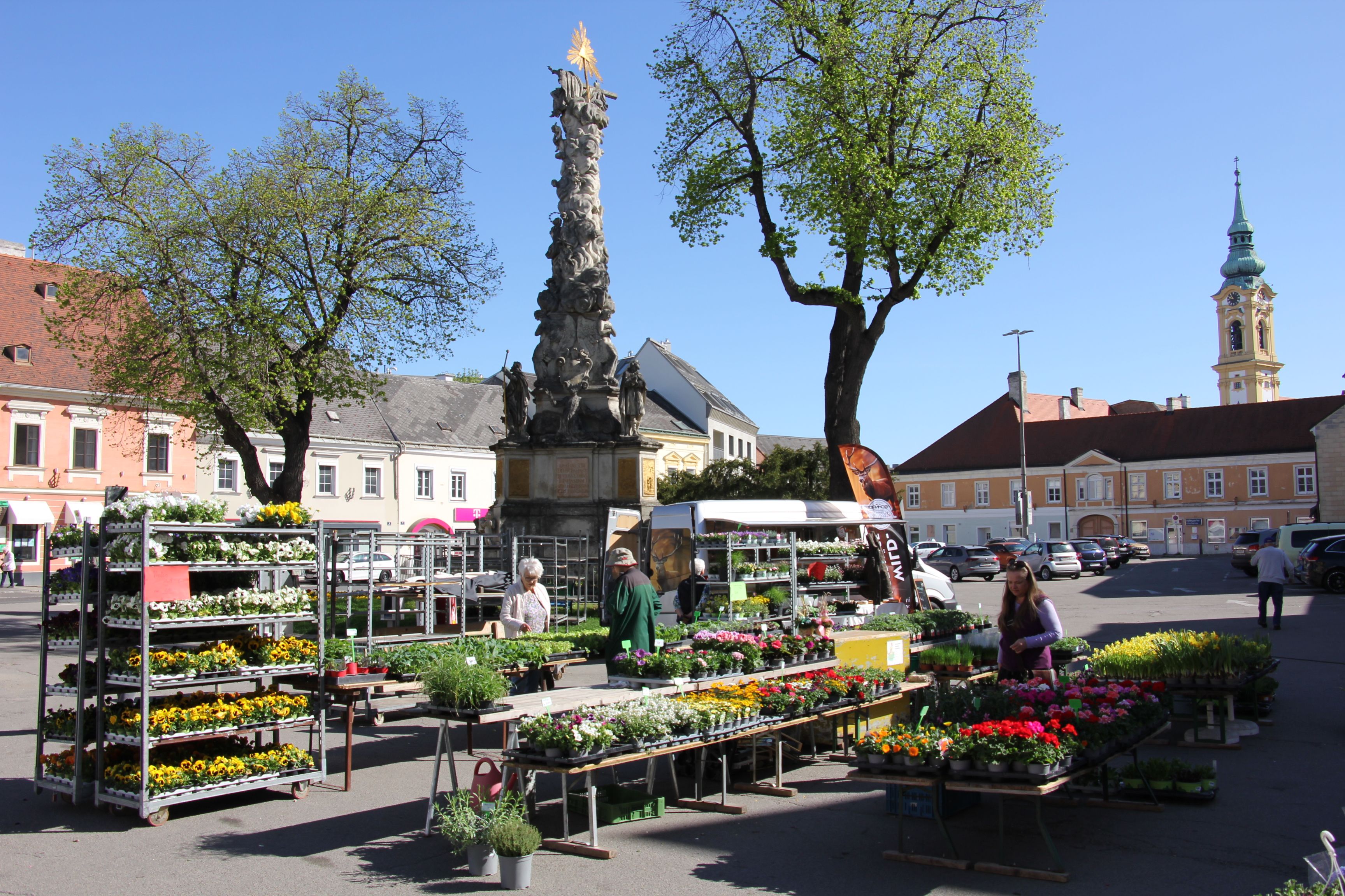 Heti piac Stockerauban, virágos standokkal és egy barokk oszloppal a háttérben.