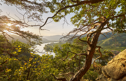 Die sanften Hügel des Dunkelsteinerwaldes laden zu einem unvergesslichen Naturerlebnis ein. Die warmen Sonnenstrahlen brechen durch das dichte Blätterdach und spiegeln sich im ruhigen Wasser der Donau wider. Hier, umgeben von majestätischen Bäumen und einer atemberaubenden Landschaft, findet jeder Besucher einen Ort der Ruhe und Inspiration.