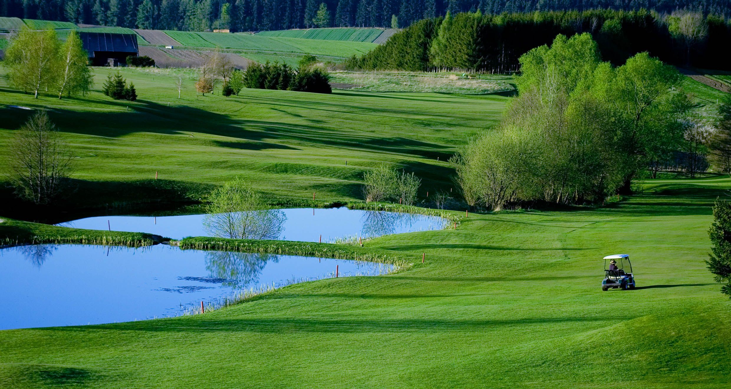 Golfpálya tóval és golfkocsival, zöld fákkal és rétekkel körülvéve.