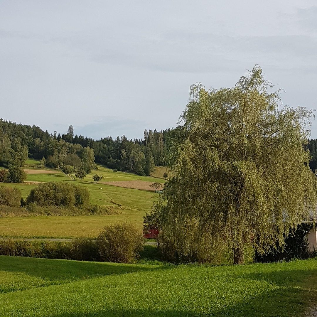 Falusi út
