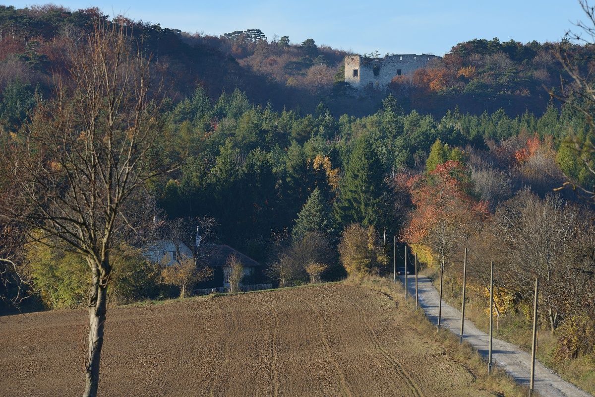 Kilátás a Merkenstein romokra