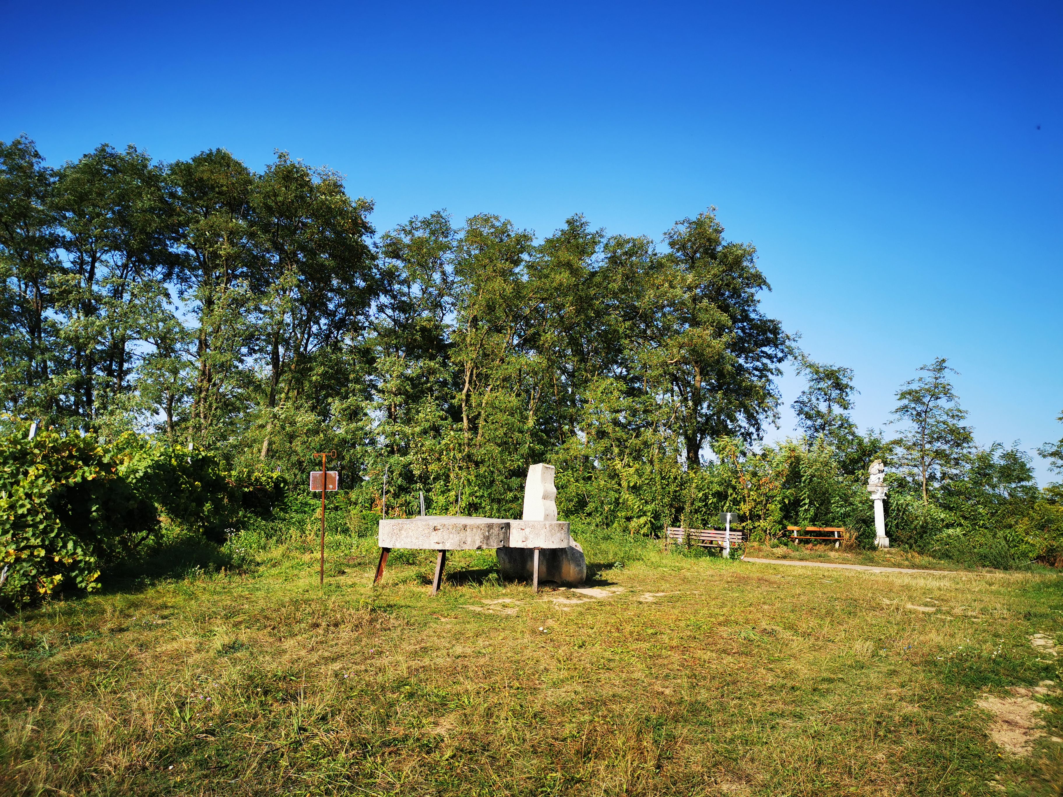 Fák és kék égbolt előtti rét padokkal és szobrokkal.