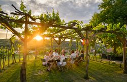 Pincesor borospincékkel és szőlővel, kék ég.