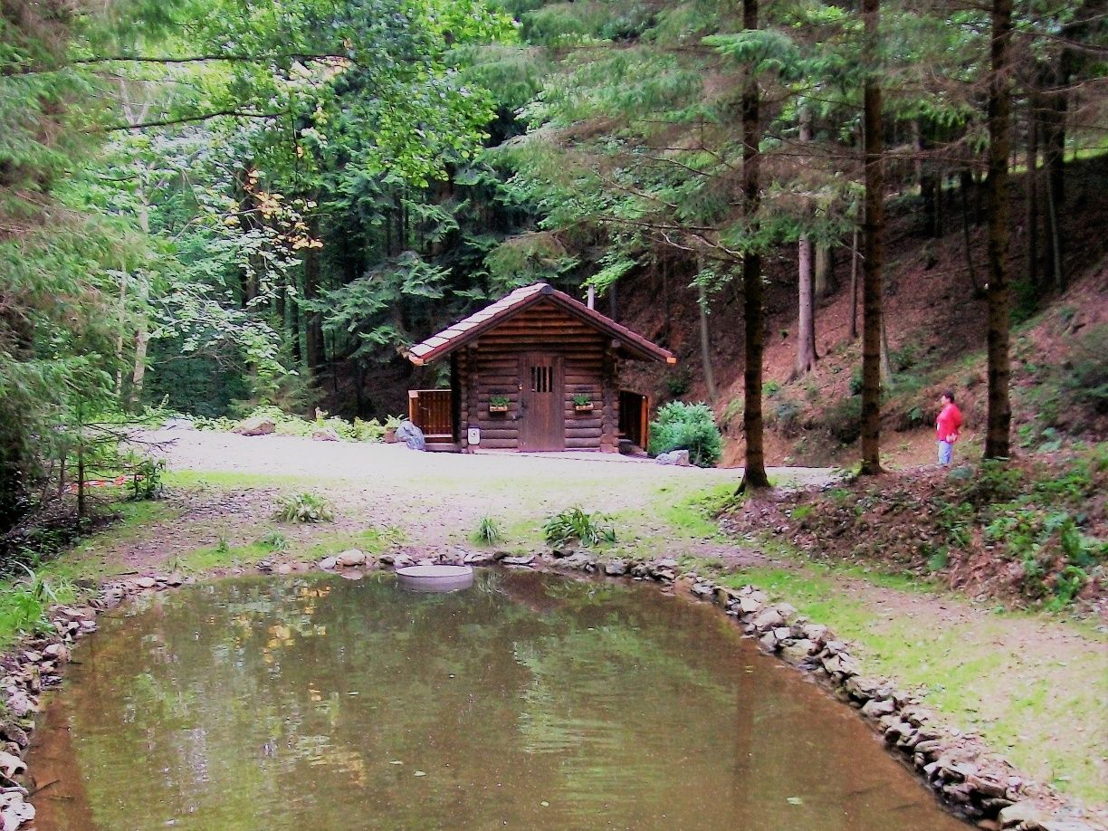 Út a Hoher Stein és a Möltern felé vezető úton