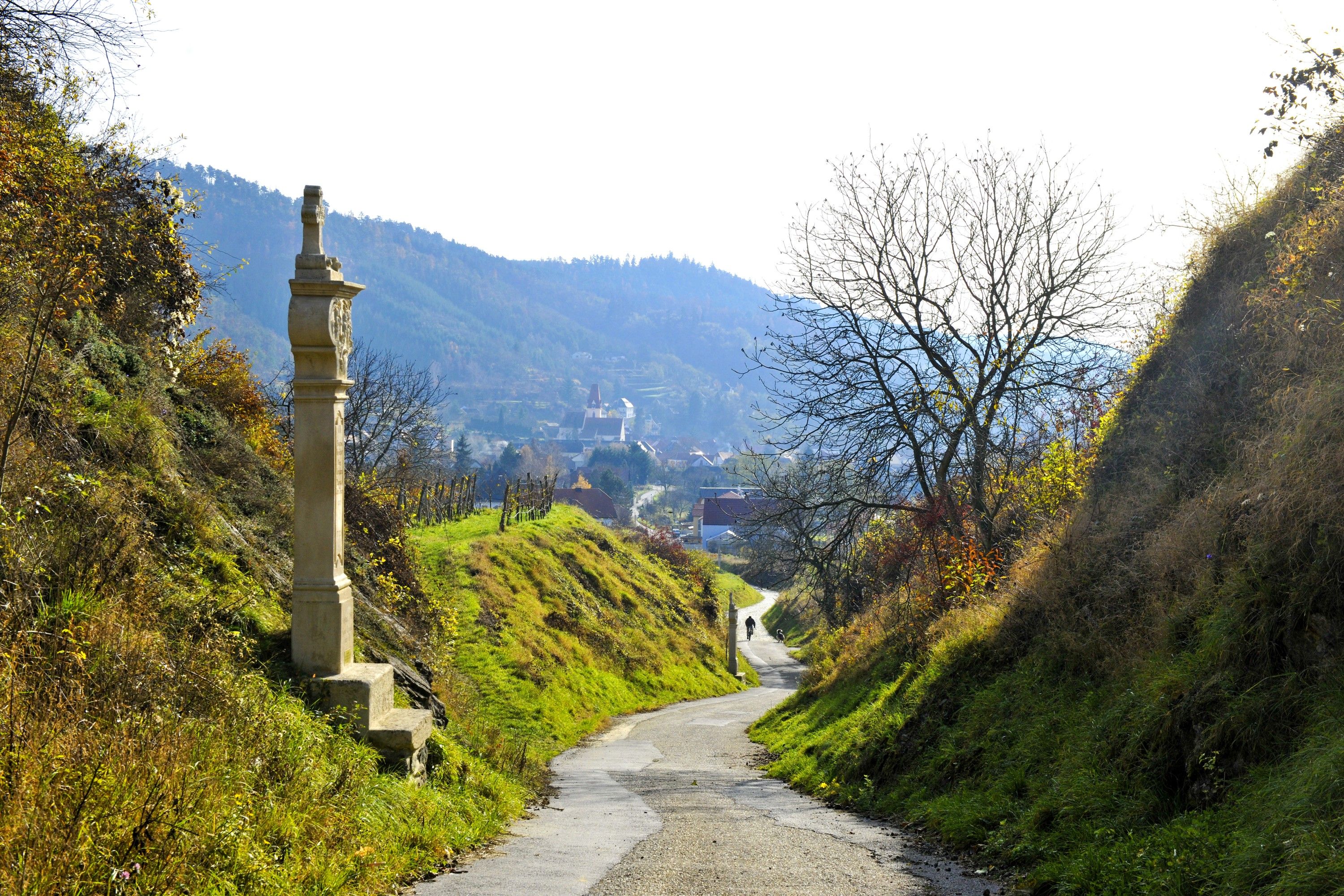A Kamptal Schönberg natúrparkban egy keskeny ösvény vezet egy kőemlékművel és kopár fákkal díszített dombos tájon keresztül.