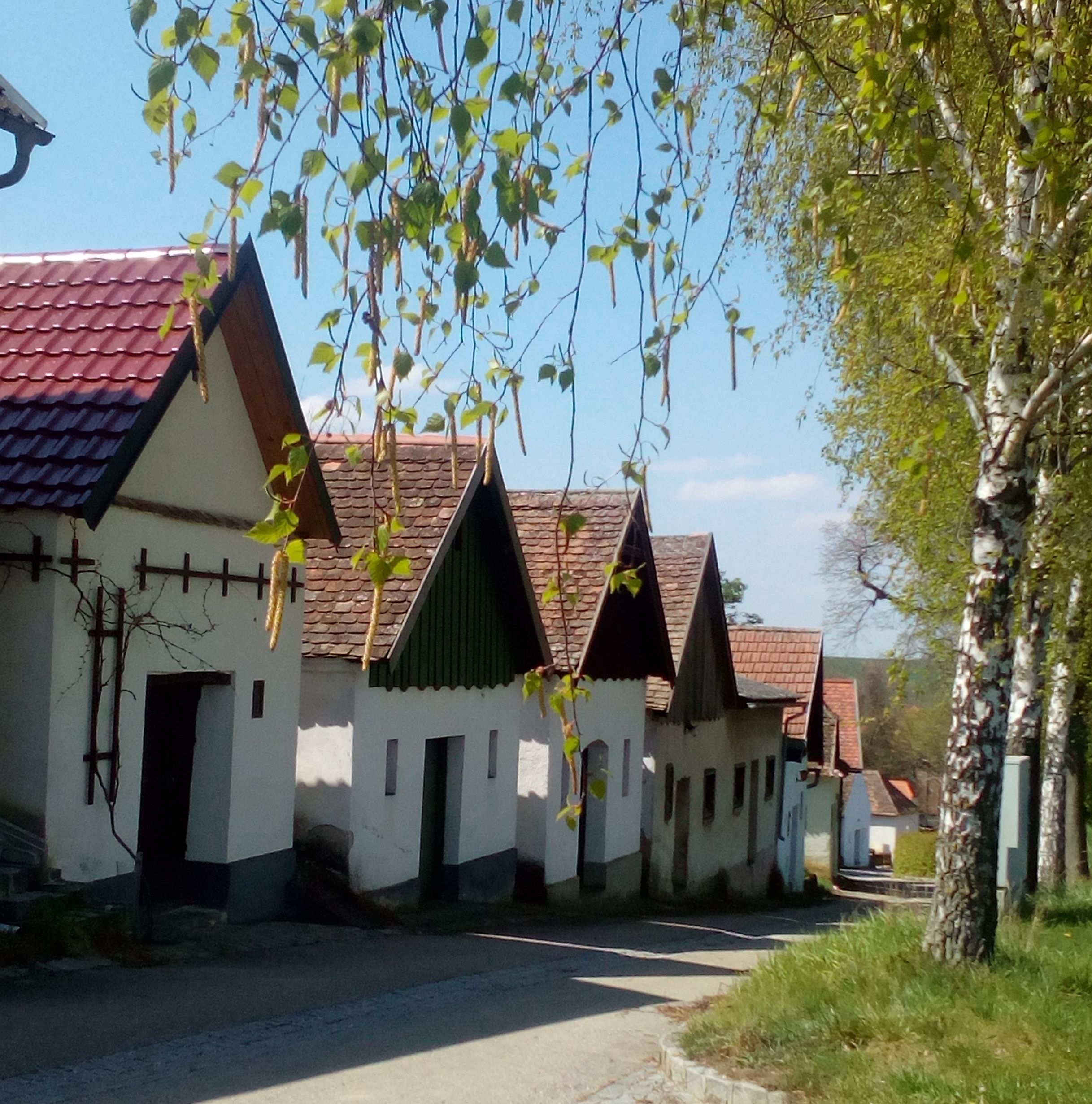 Hagyományos borospincék sora Kammersdorfban, fákkal és kék éggel körülvéve.