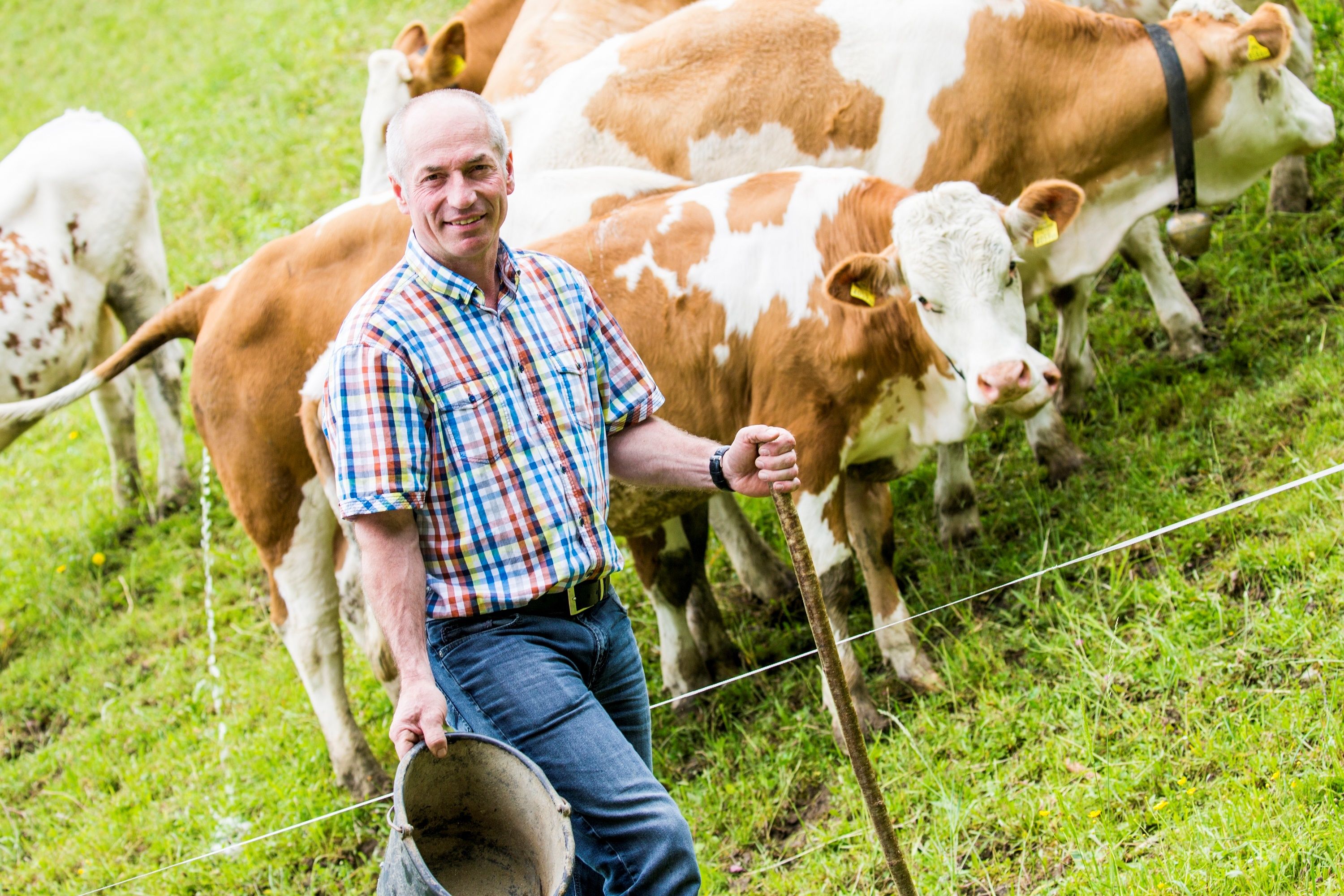 Biofarm Hinterstockreith
