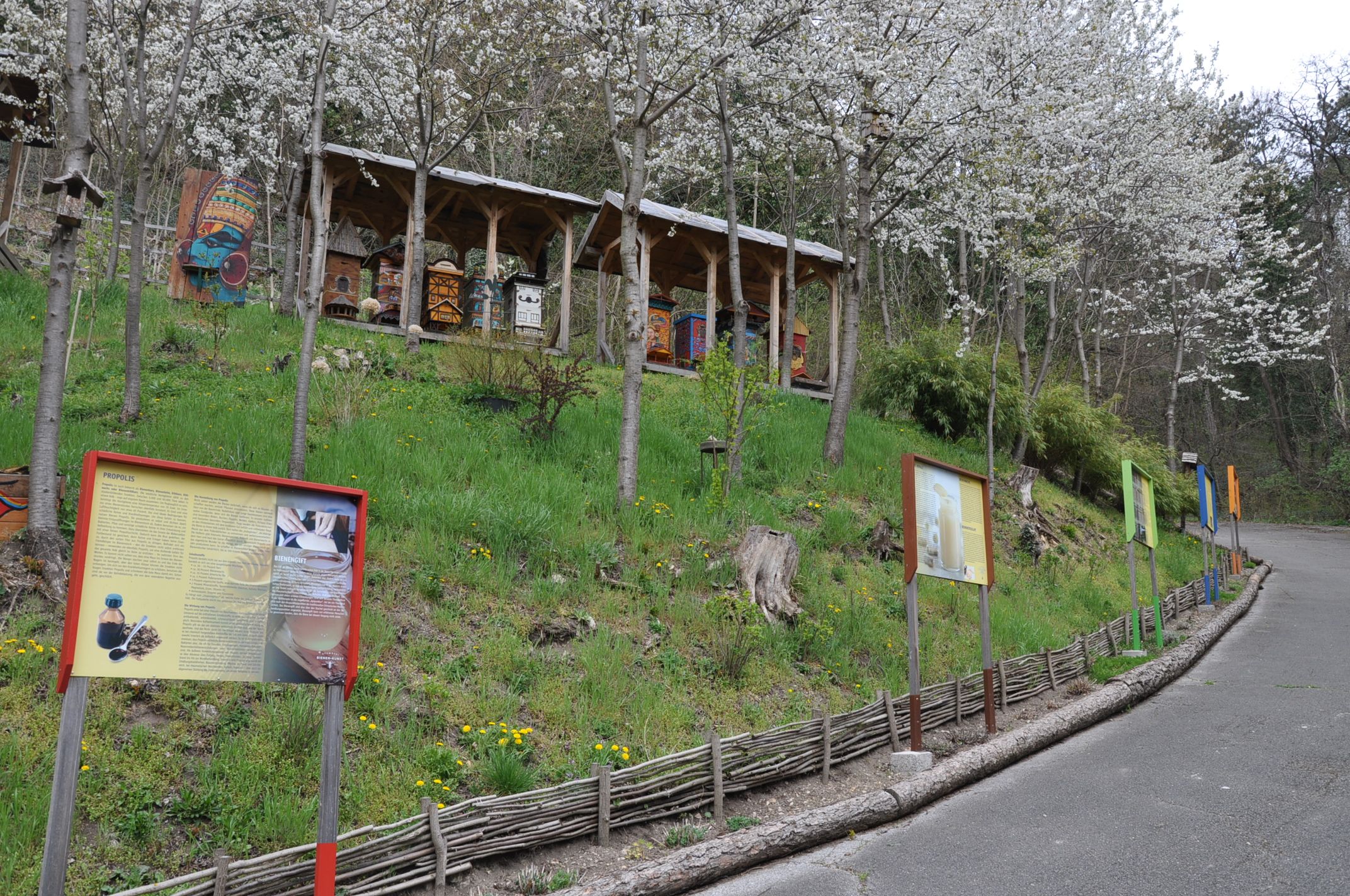 Méhészeti tanösvény információs táblákkal és méhkaptárakkal a virágzó fák alatt.