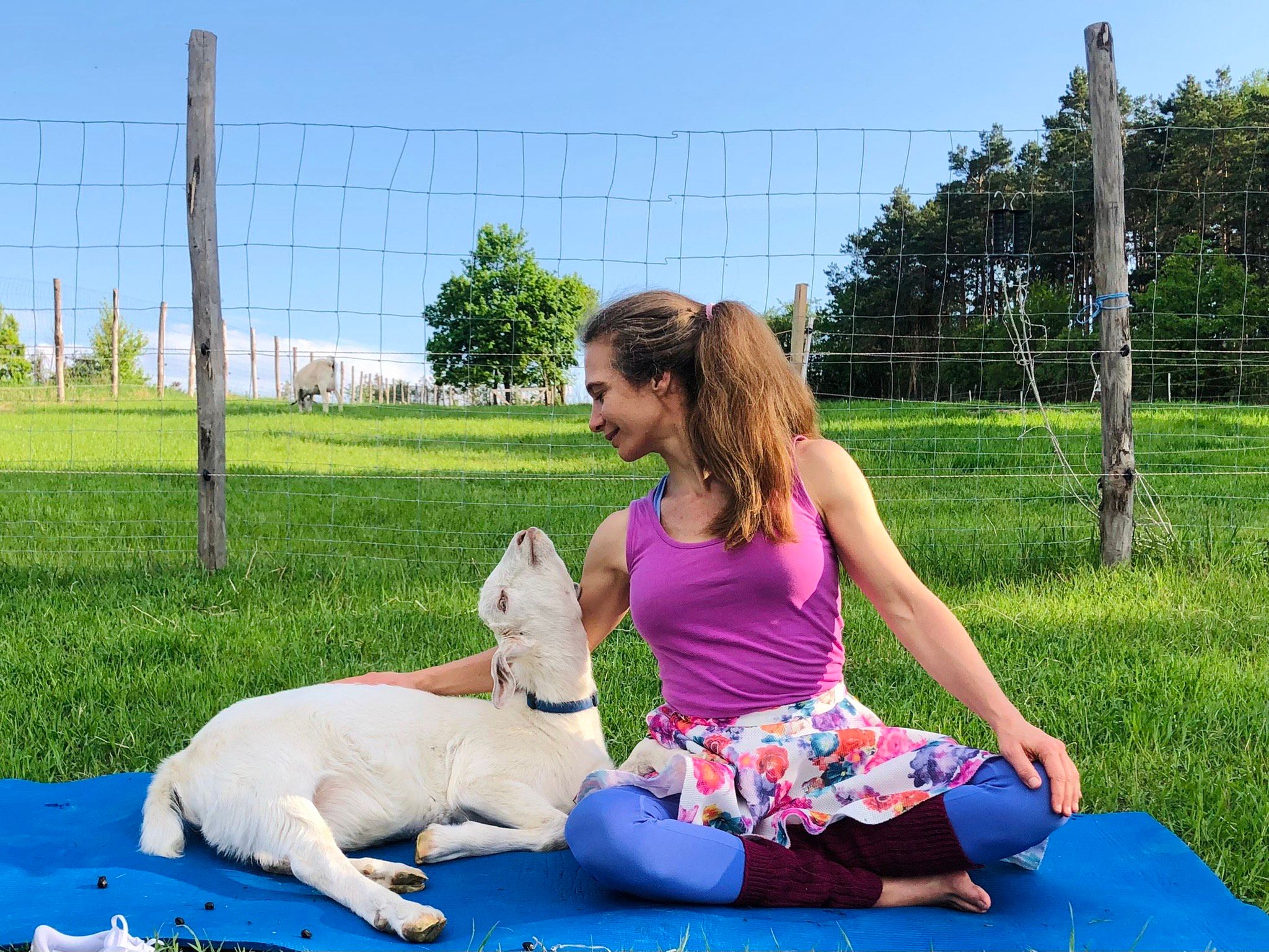 Színes ruhás nő ül egy réten egy kecske mellett.