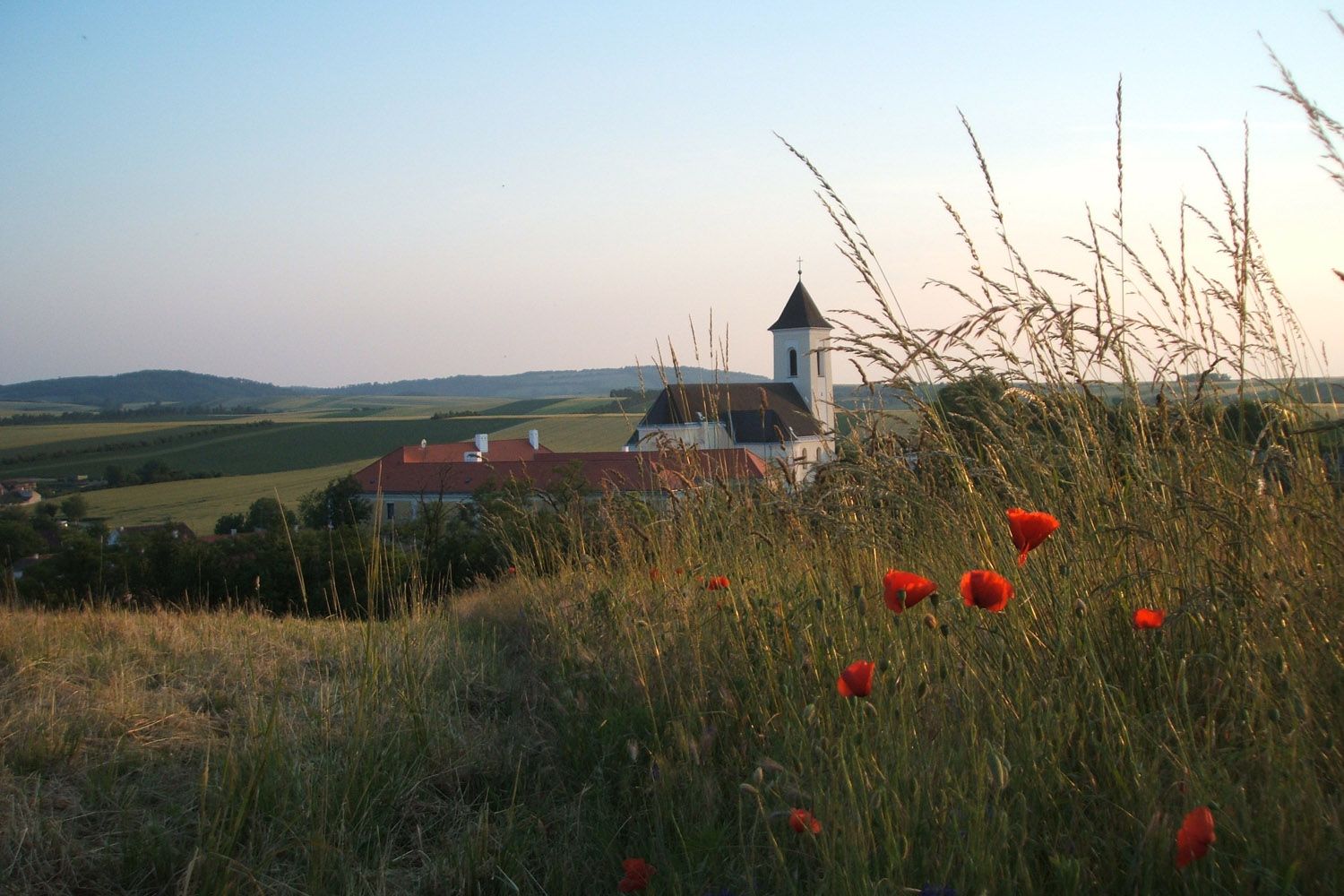 Tájkép templommal és pipacsokkal az előtérben.